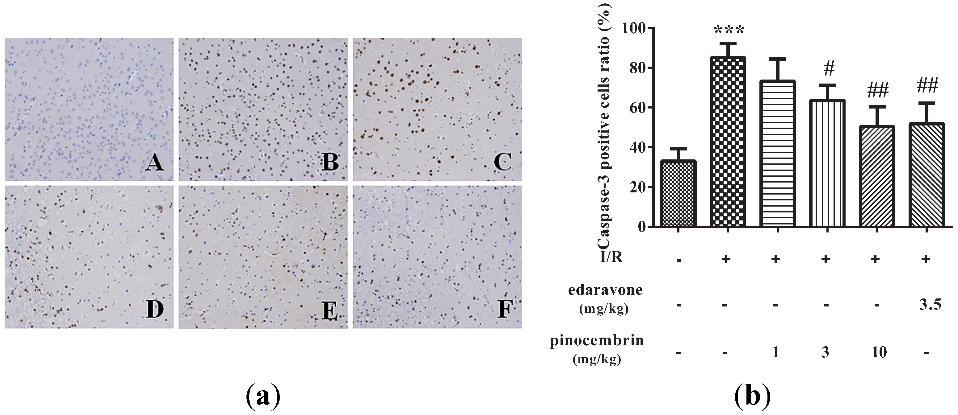 Molecules 19 15786 g006 550