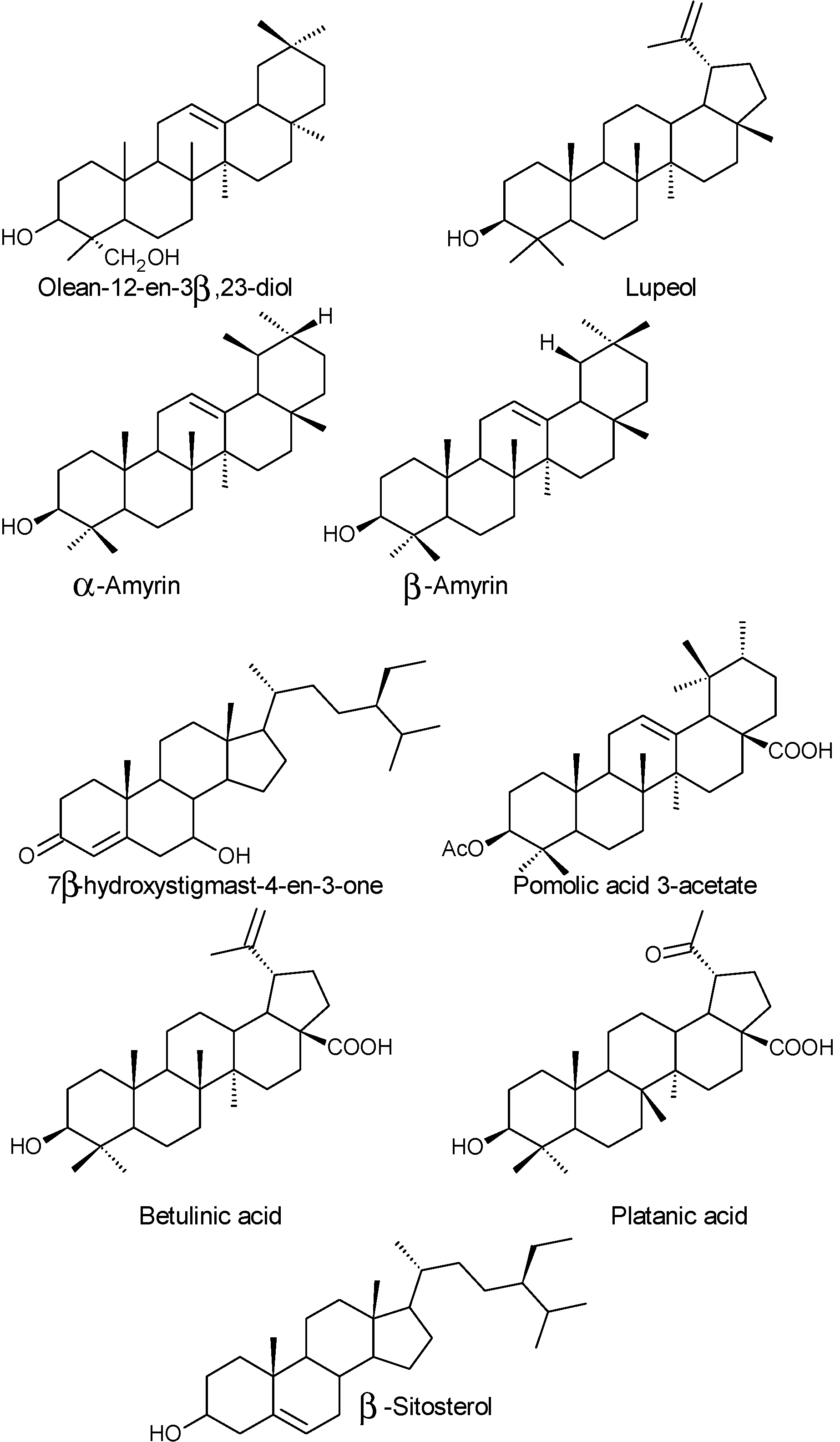 Molecules 19 15799 g006