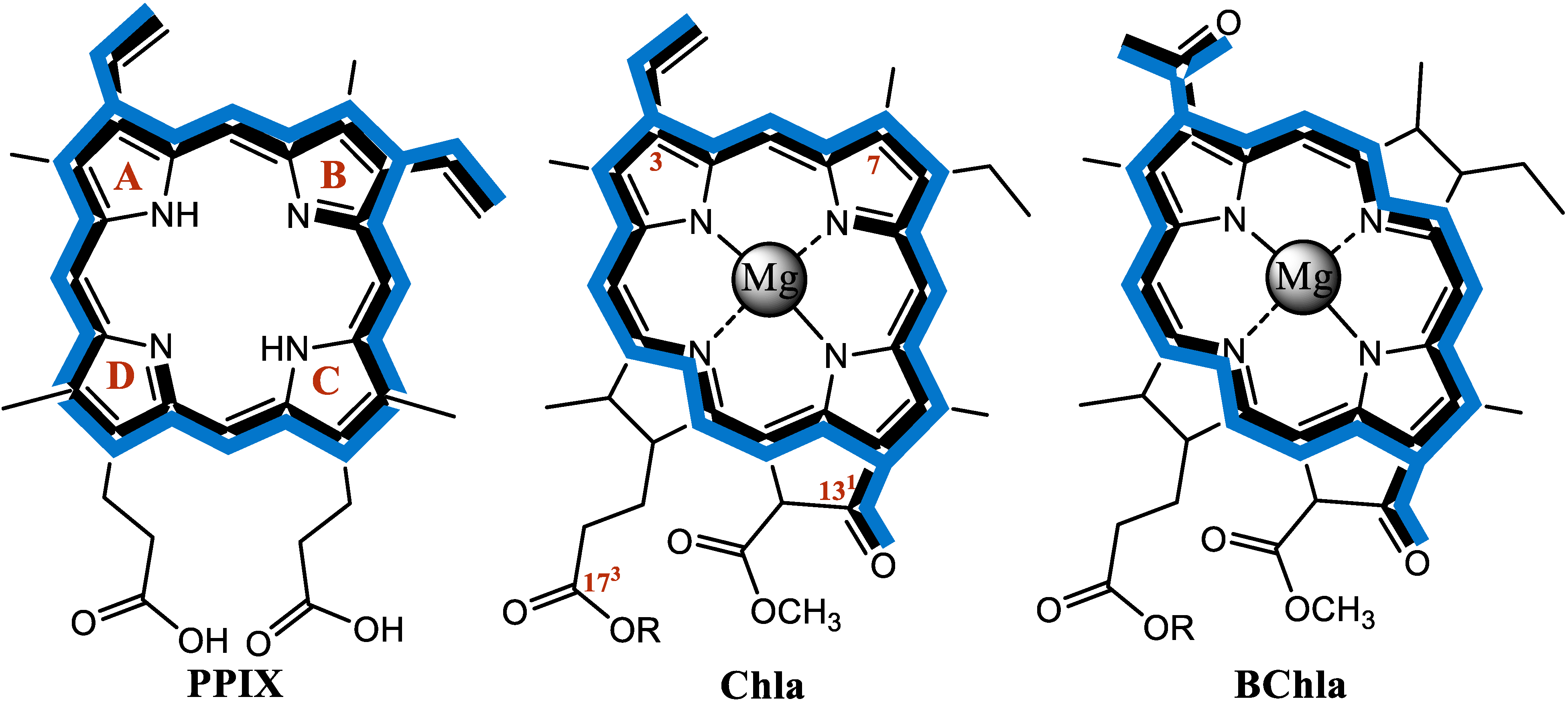 Molecules 19 15938 g001