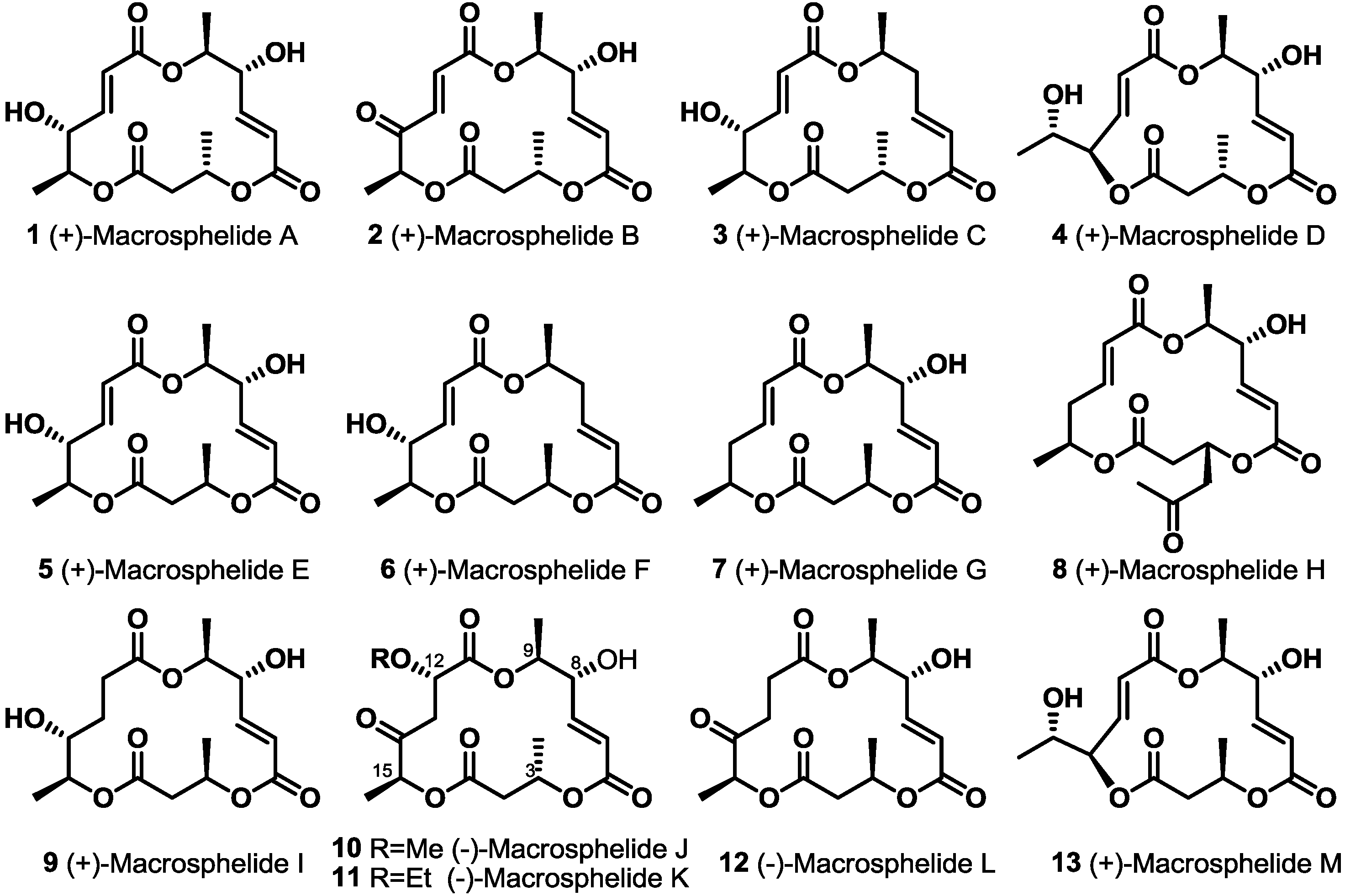 Molecules 19 15982 g001