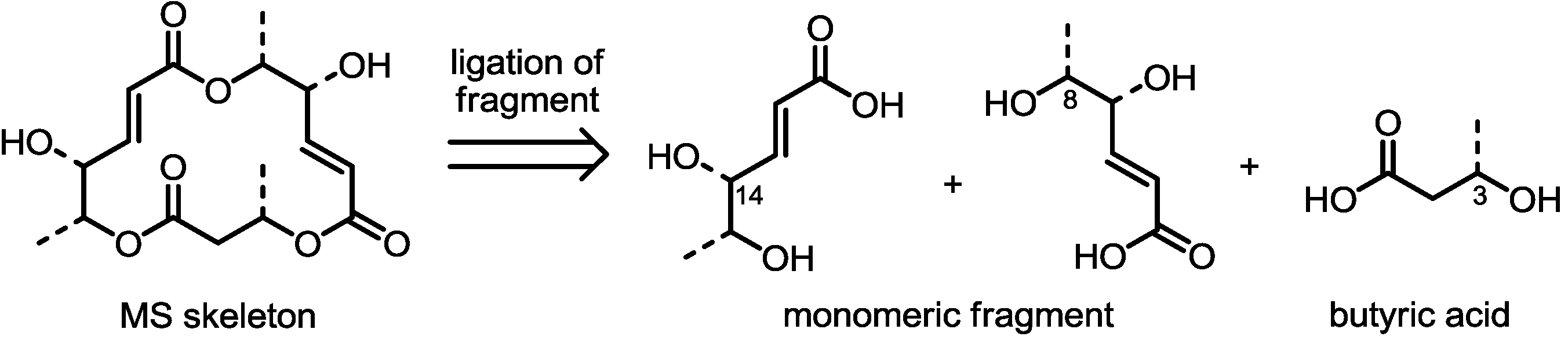 Molecules 19 15982 g002