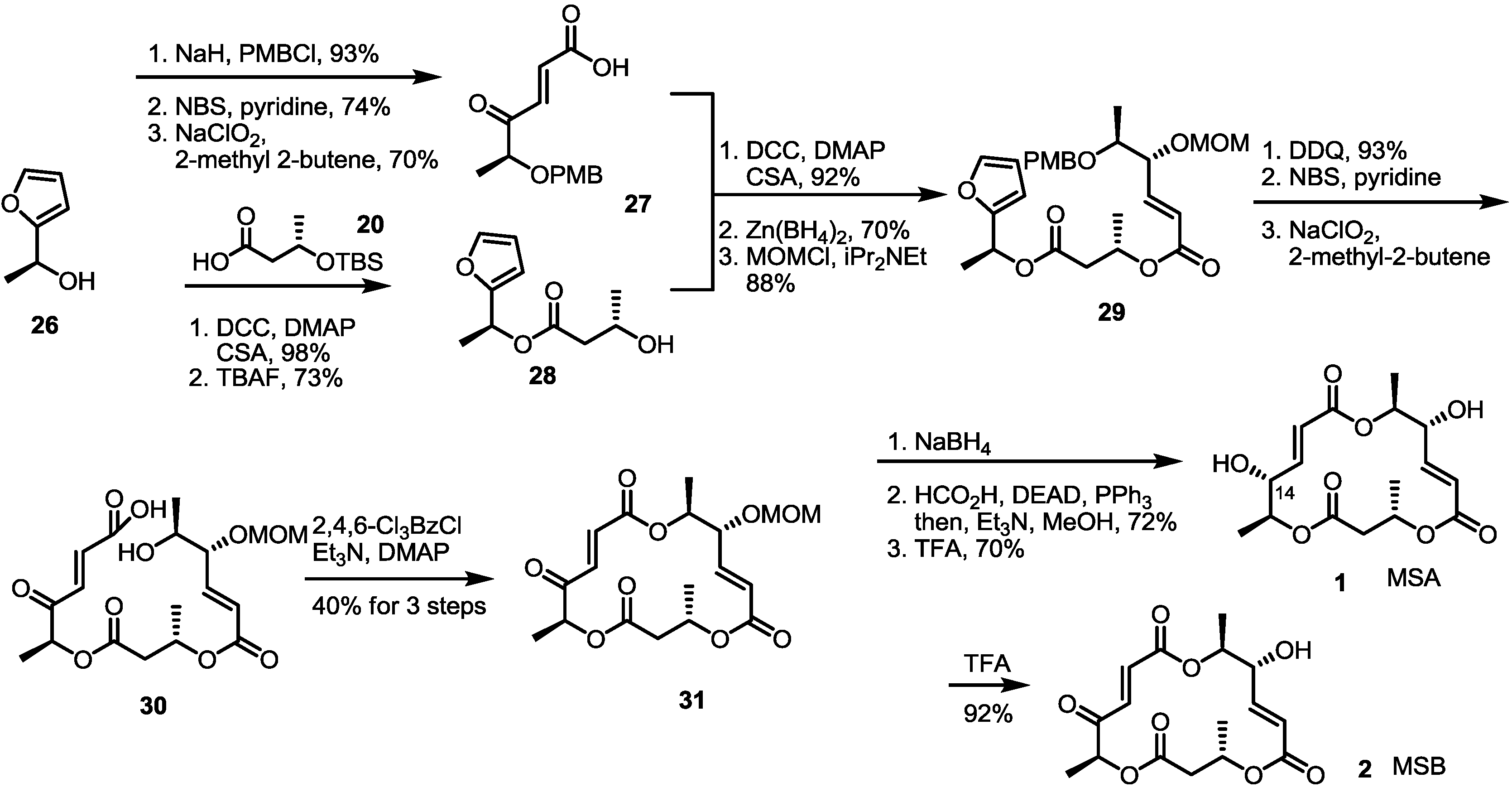 Molecules 19 15982 g004