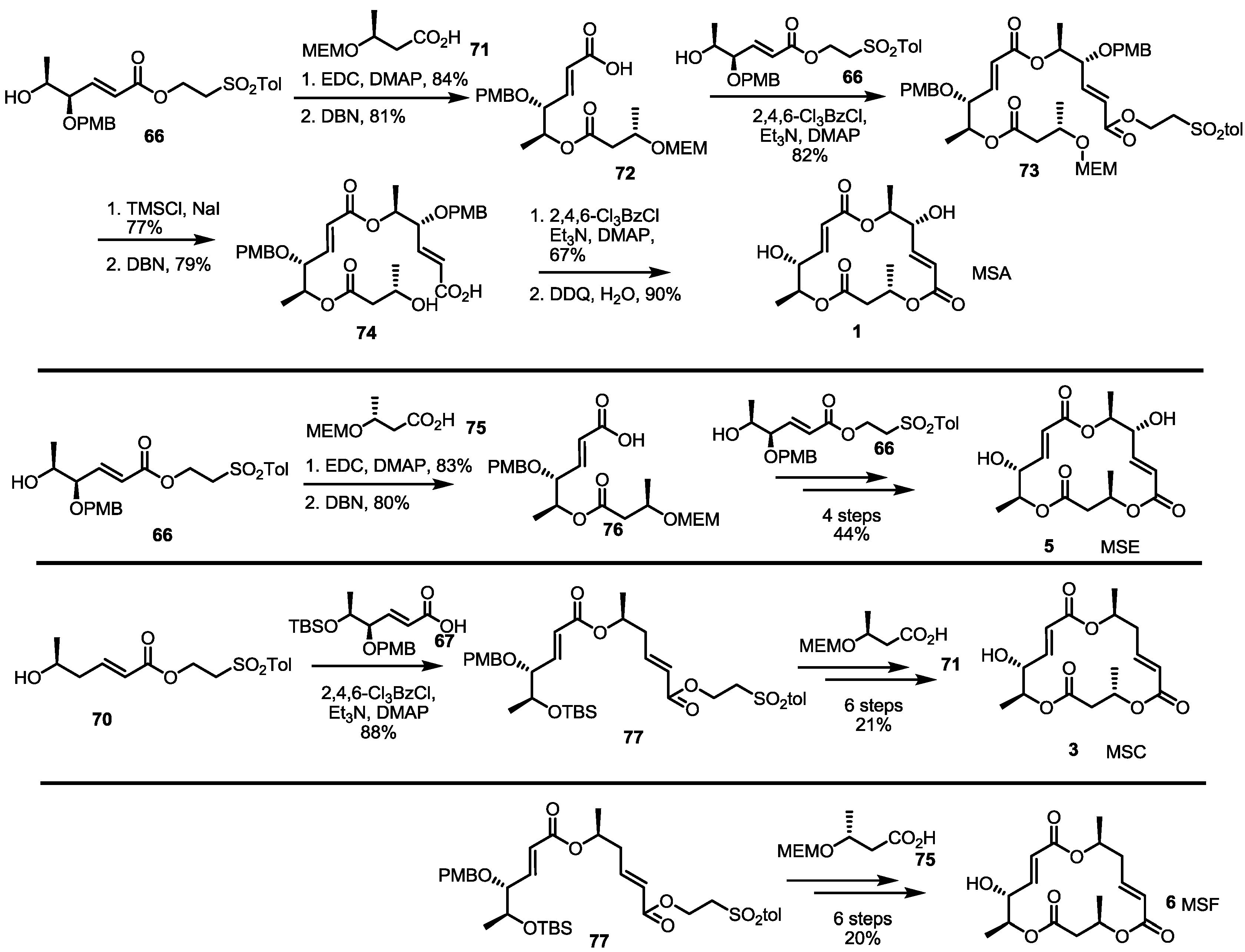 Molecules 19 15982 g011