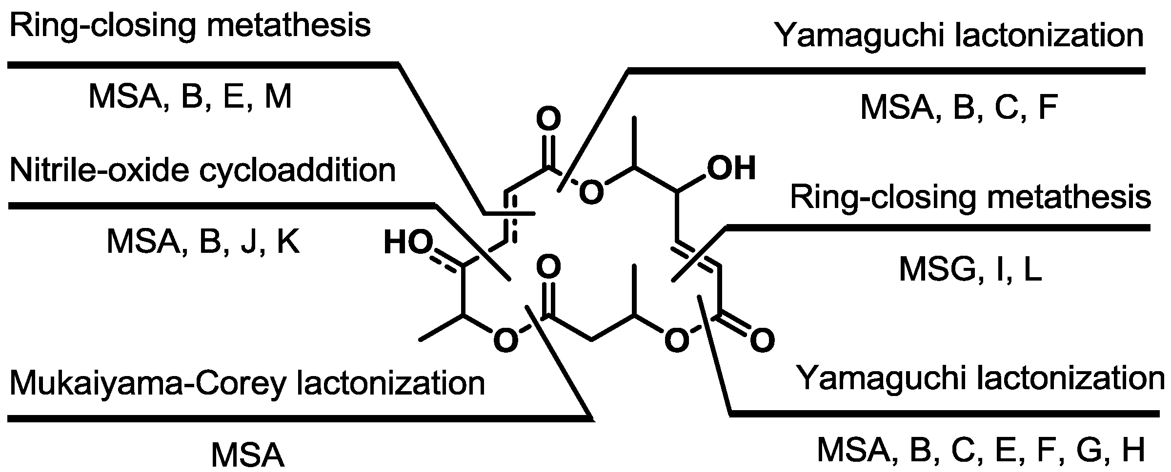 Molecules 19 15982 g024