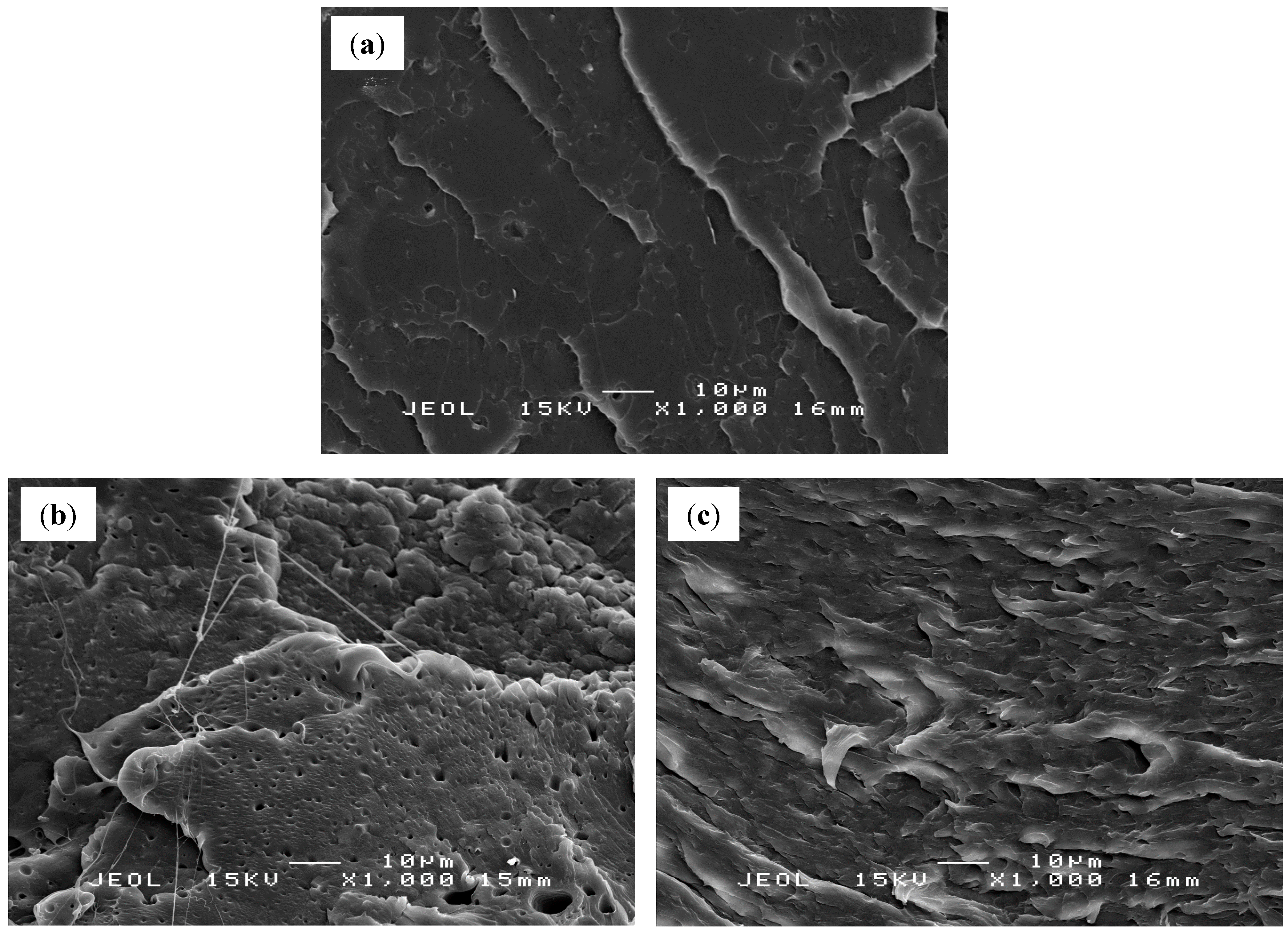 Molecules 19 16024 g007