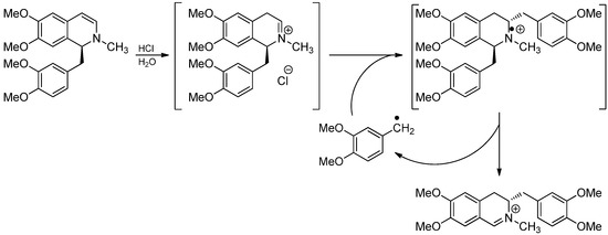 Radical Addition to Iminium Ions and Cationic Heterocycles