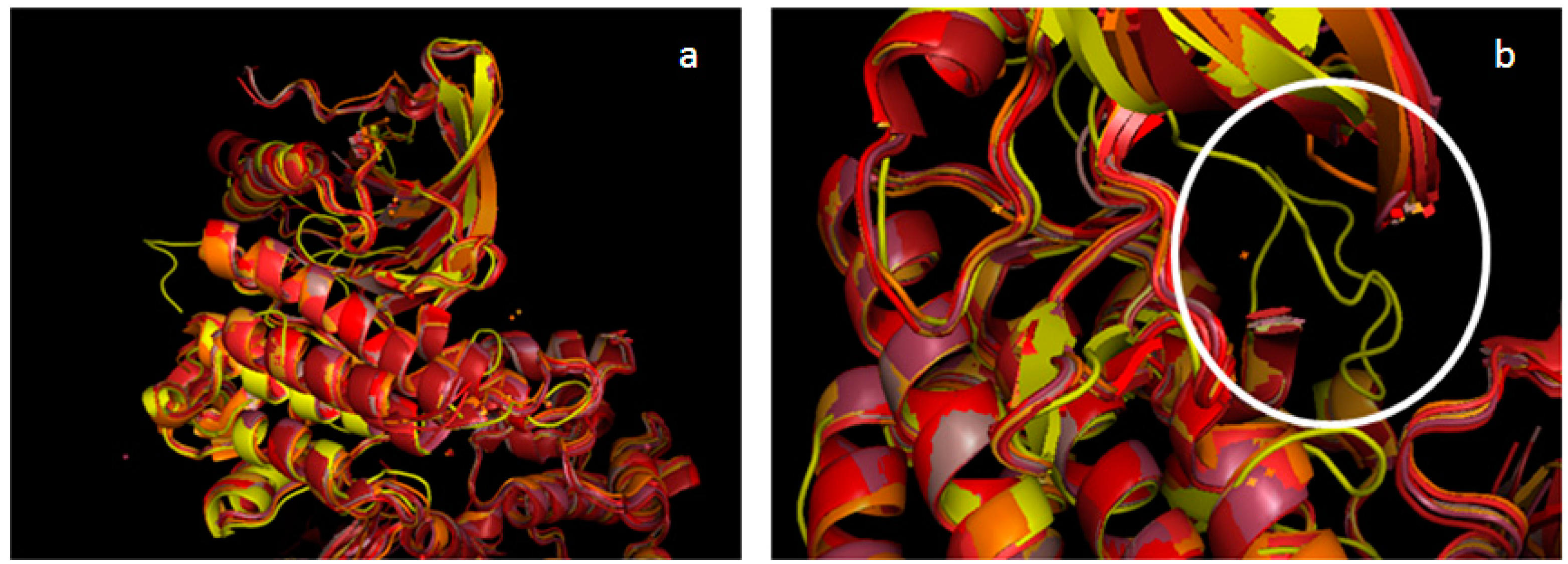 Molecules 19 16223 g001