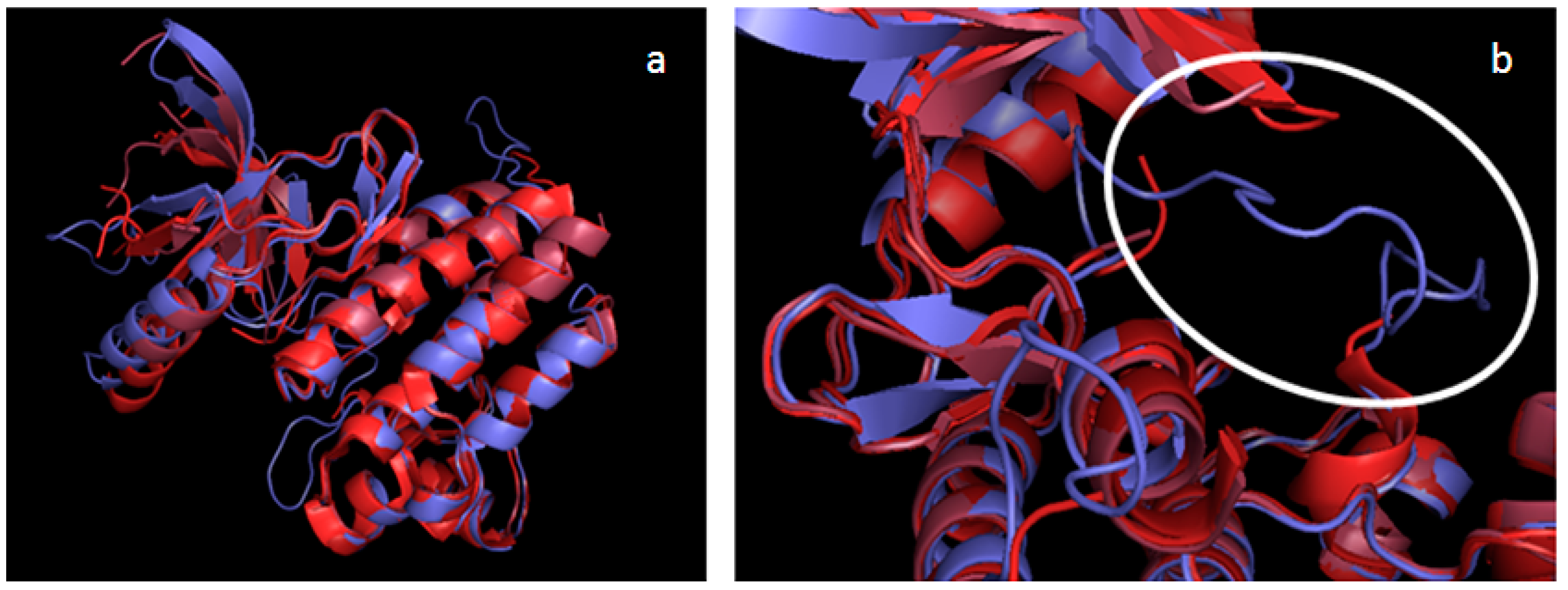 Molecules 19 16223 g002