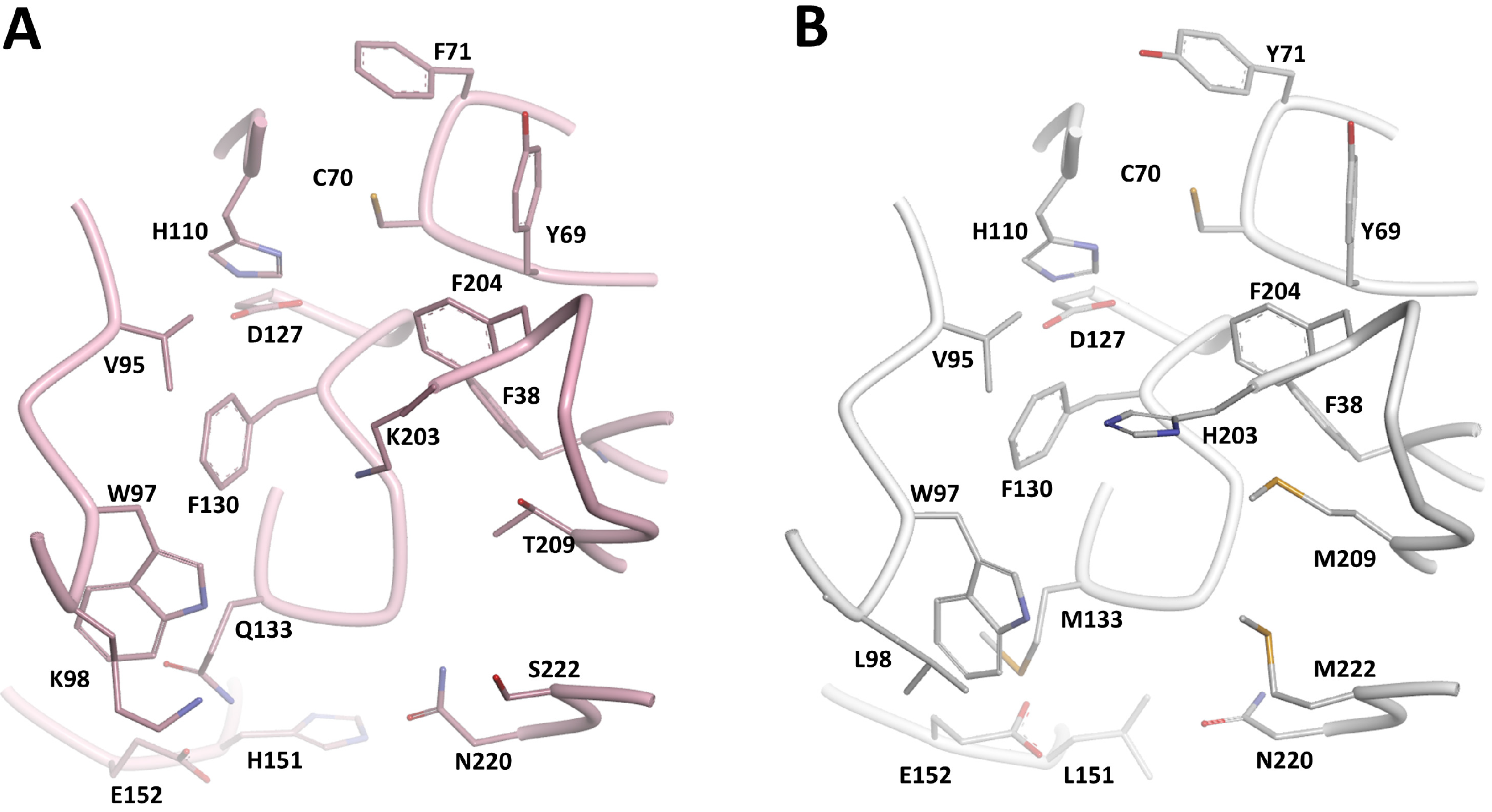 Molecules 19 16274 g003 550
