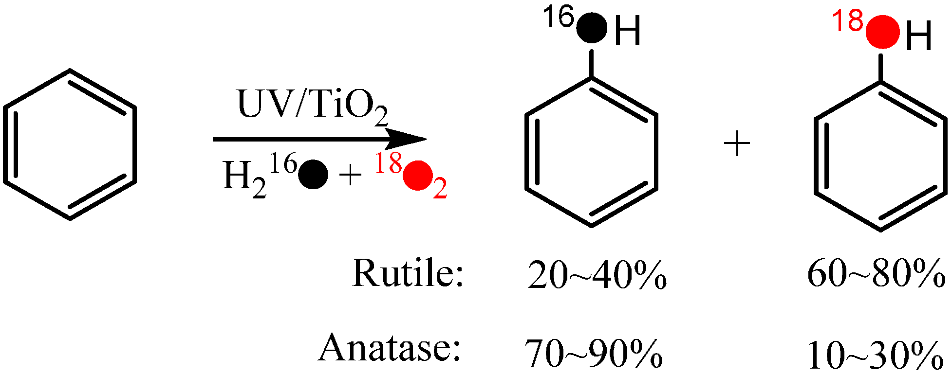 Molecules 19 16291 g004