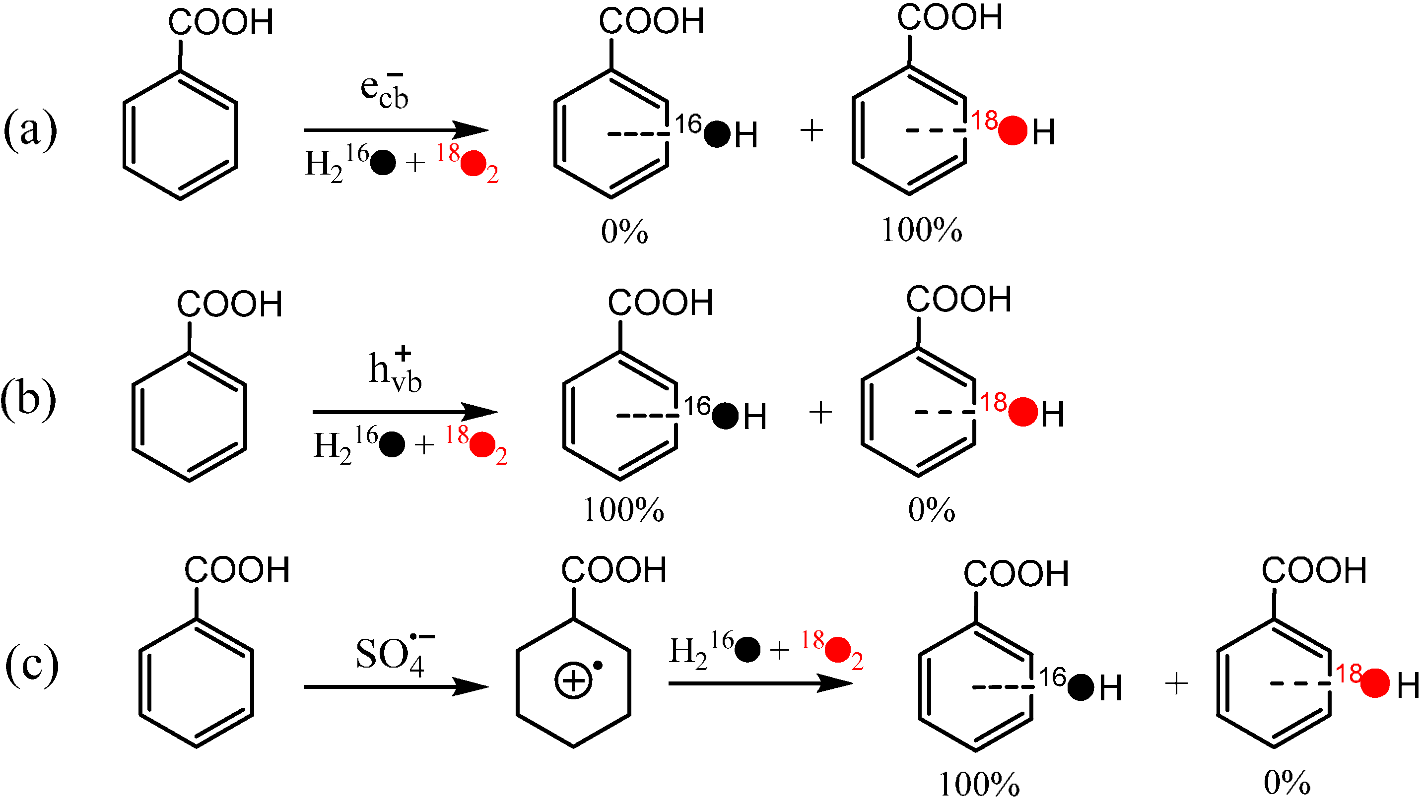 Molecules 19 16291 g006