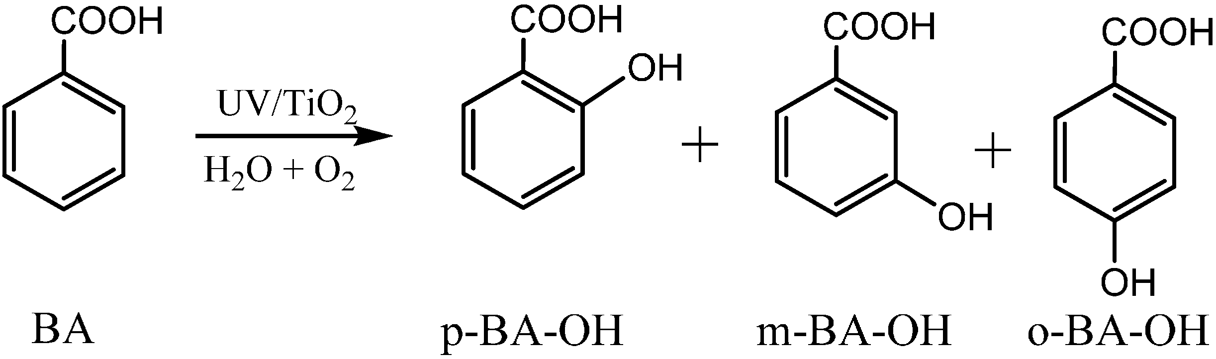 Molecules 19 16291 g007