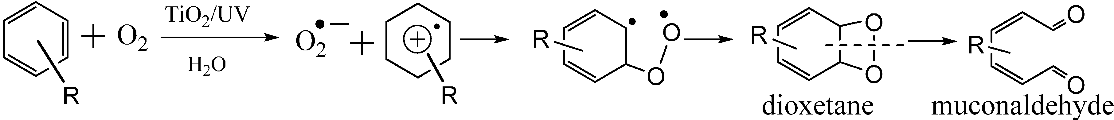 Molecules 19 16291 g009