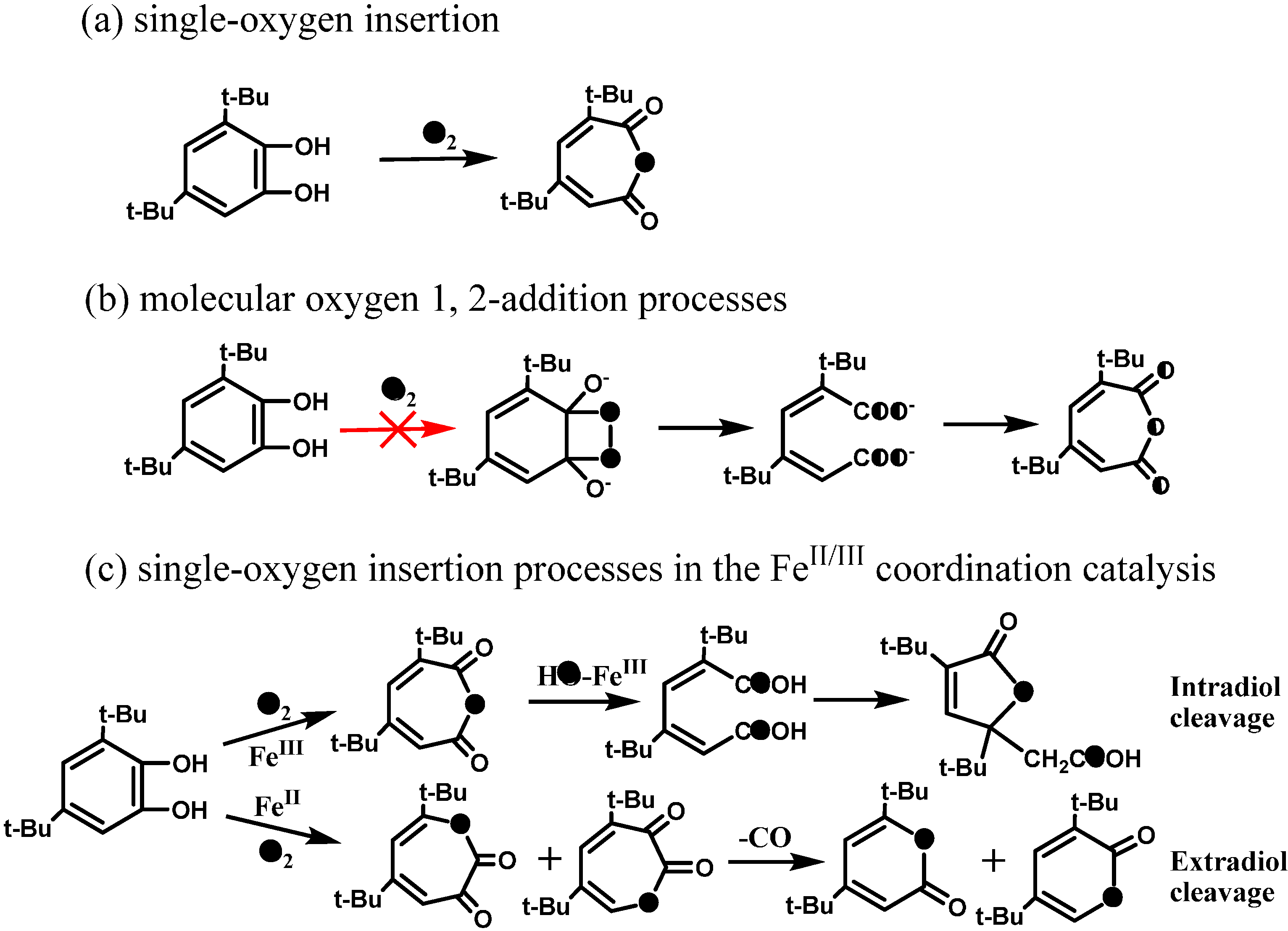 Molecules 19 16291 g011