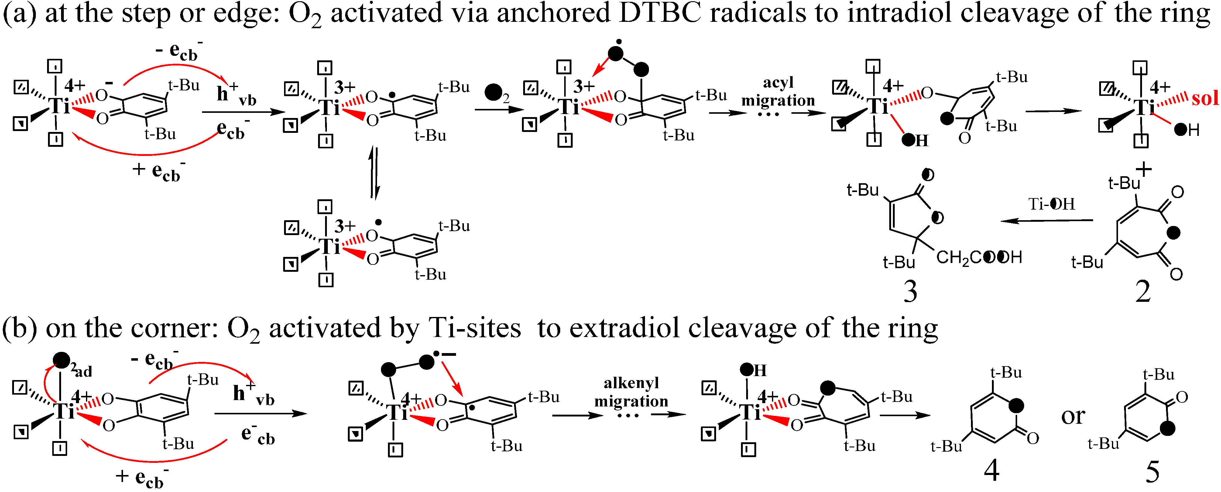 Molecules 19 16291 g012
