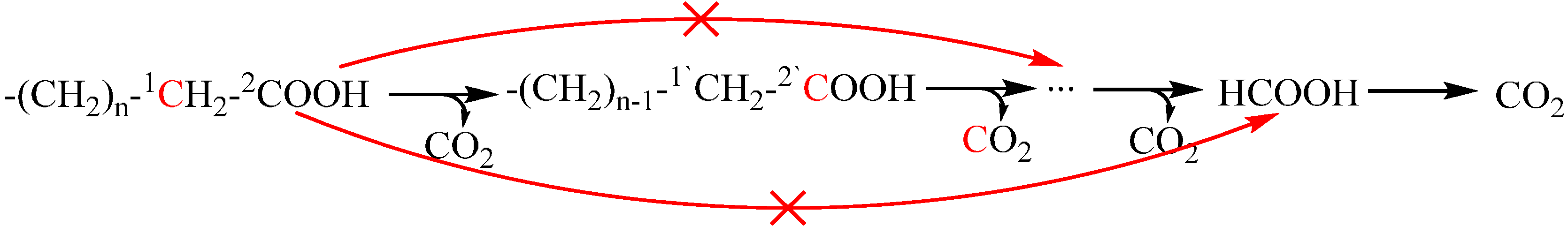 Molecules 19 16291 g013