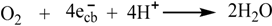 Molecules 19 16291 i001