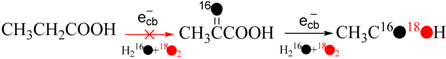 Molecules 19 16291 i007