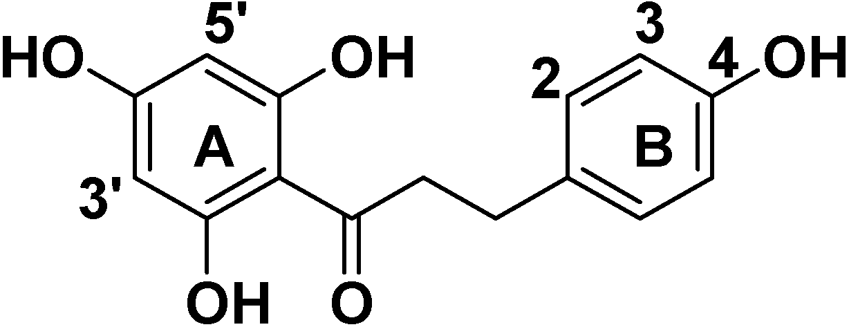 Molecules 19 16447 g001