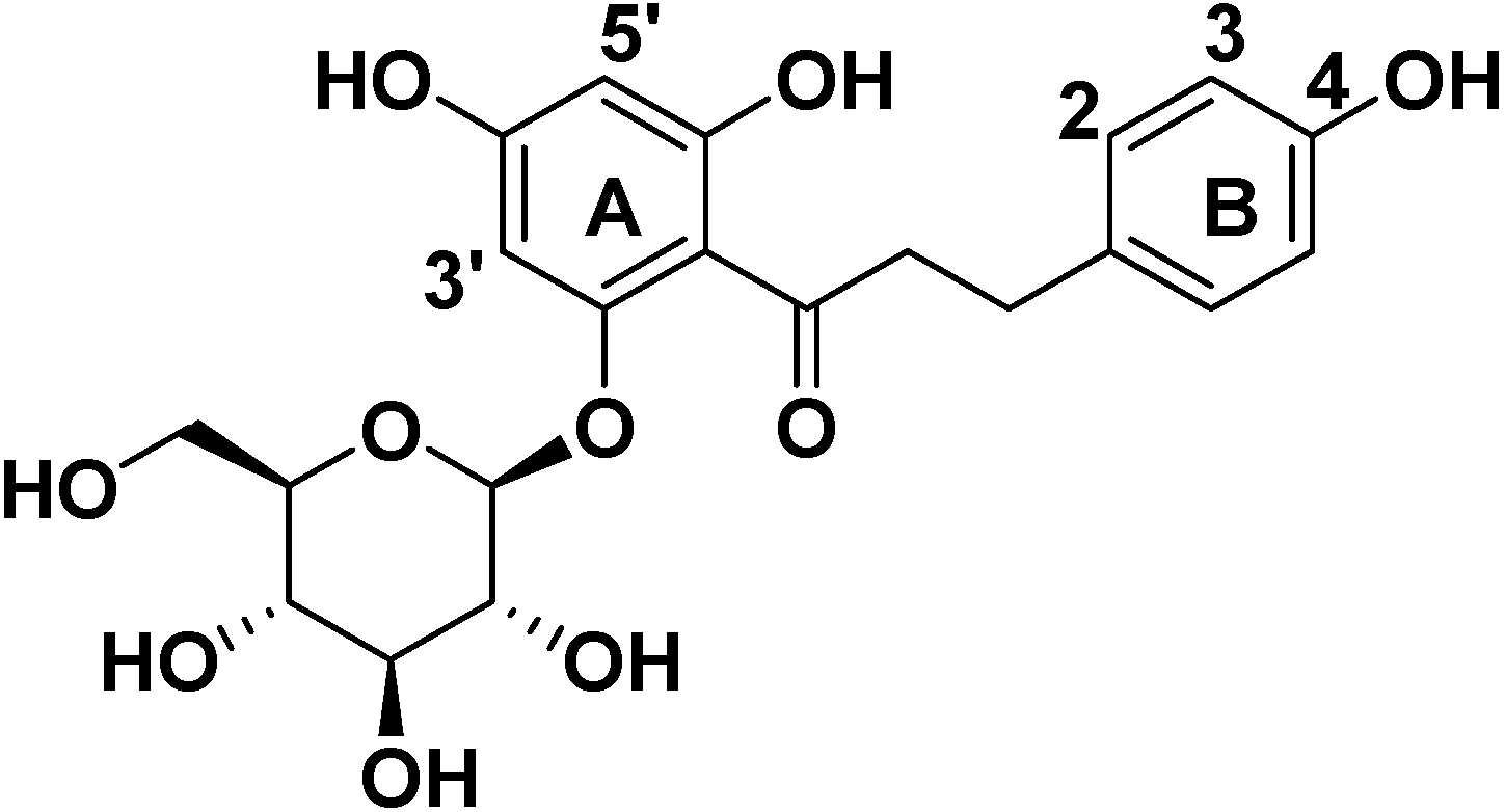 Molecules 19 16447 g002