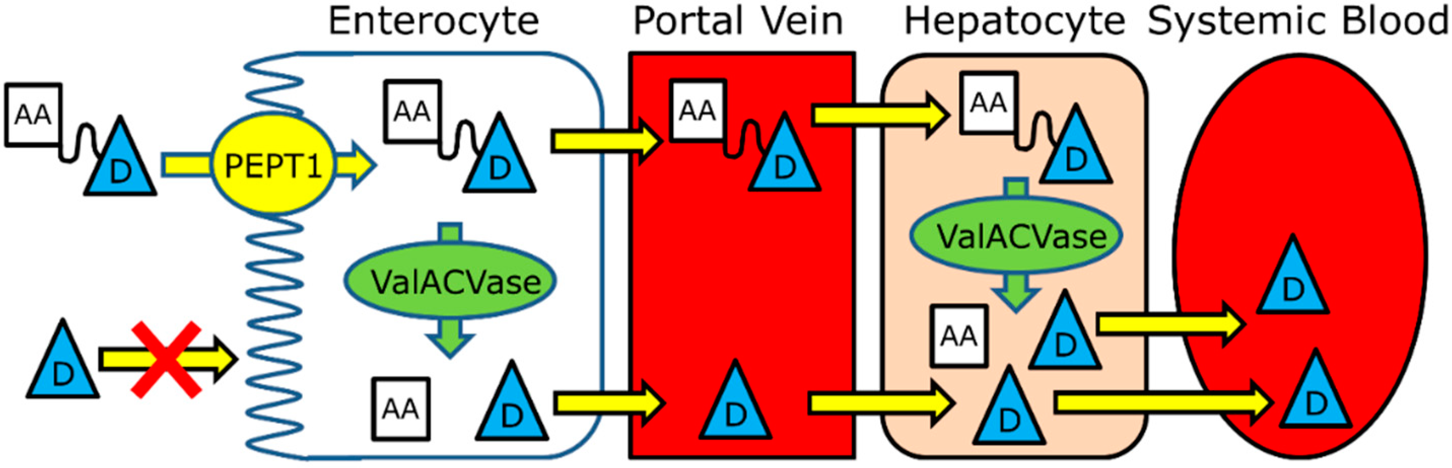 Molecules 19 16489 g004