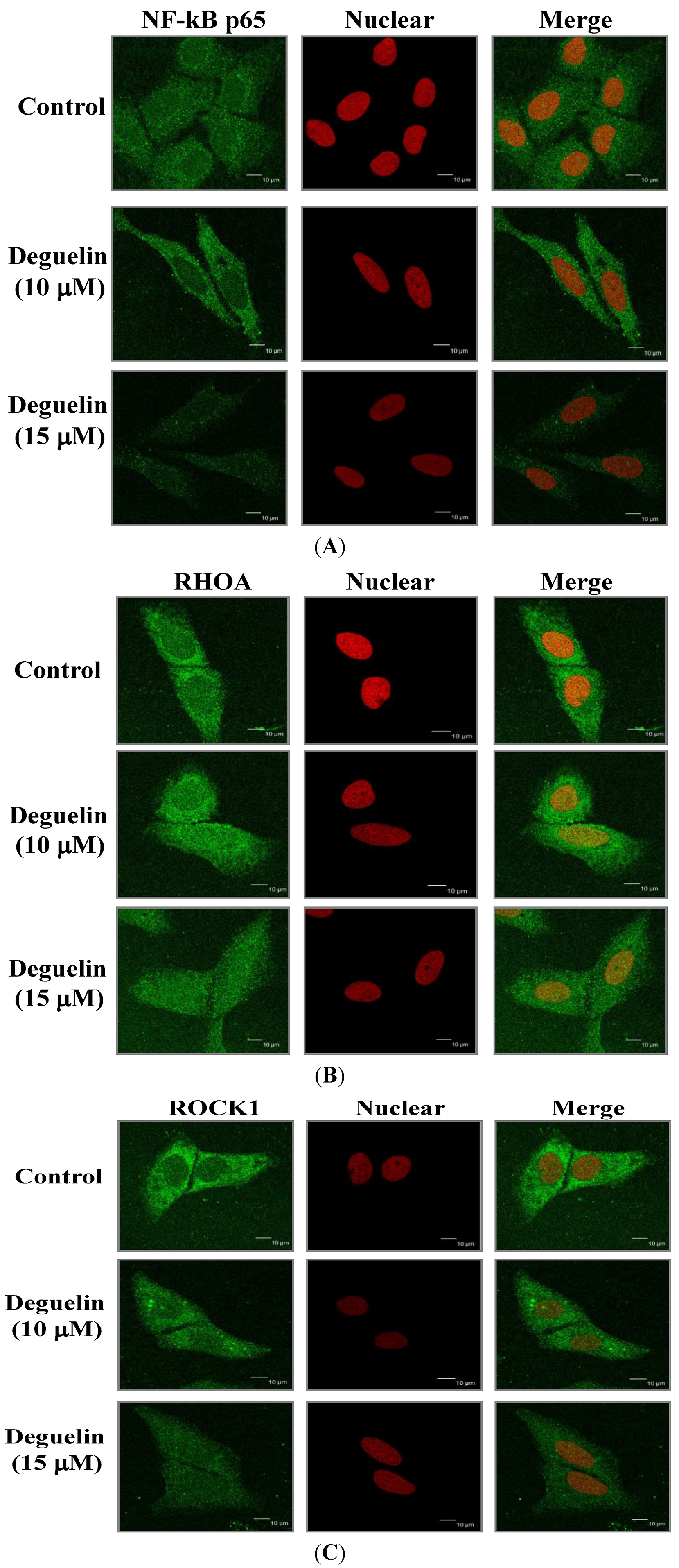 Molecules 19 16588 g007 550