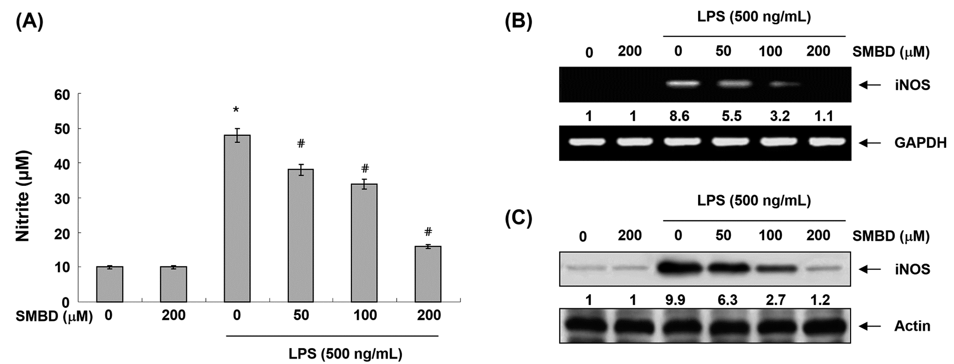 Molecules 19 16609 g002