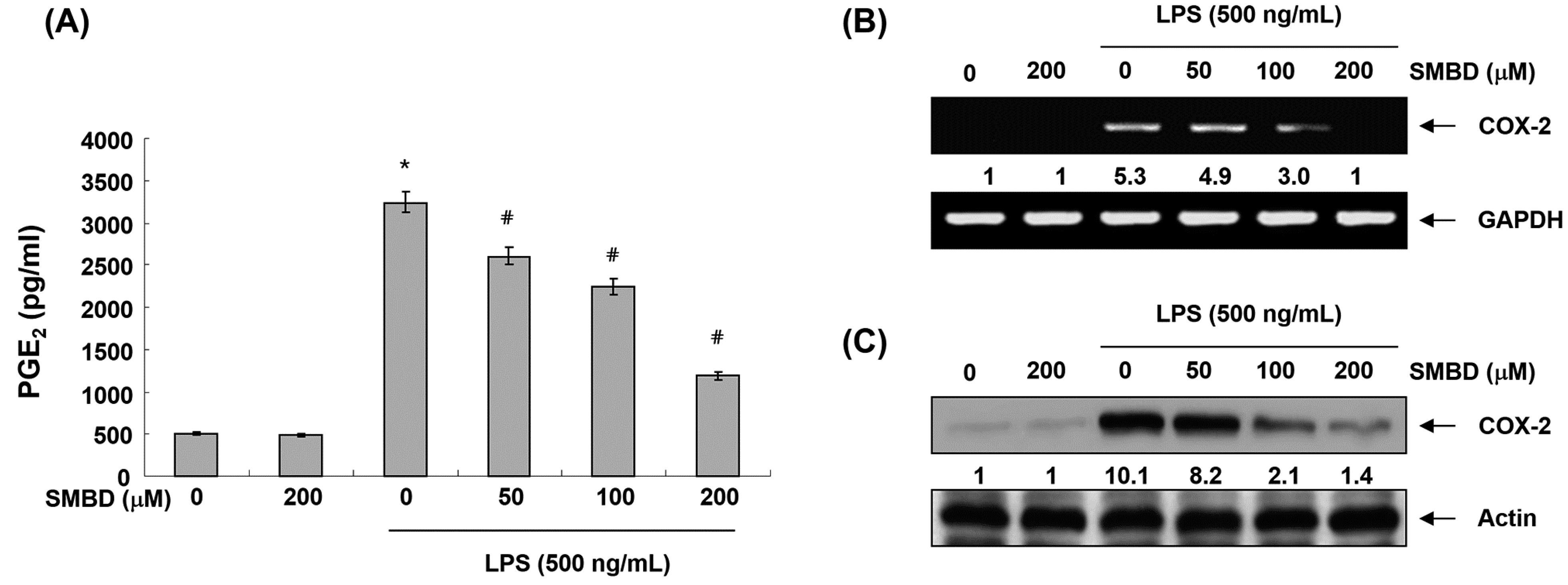 Molecules 19 16609 g003