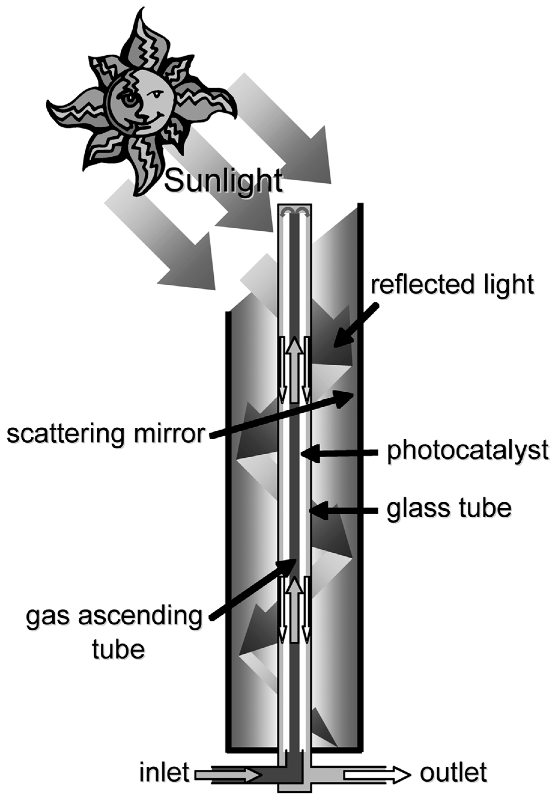 Molecules 19 16624 g008