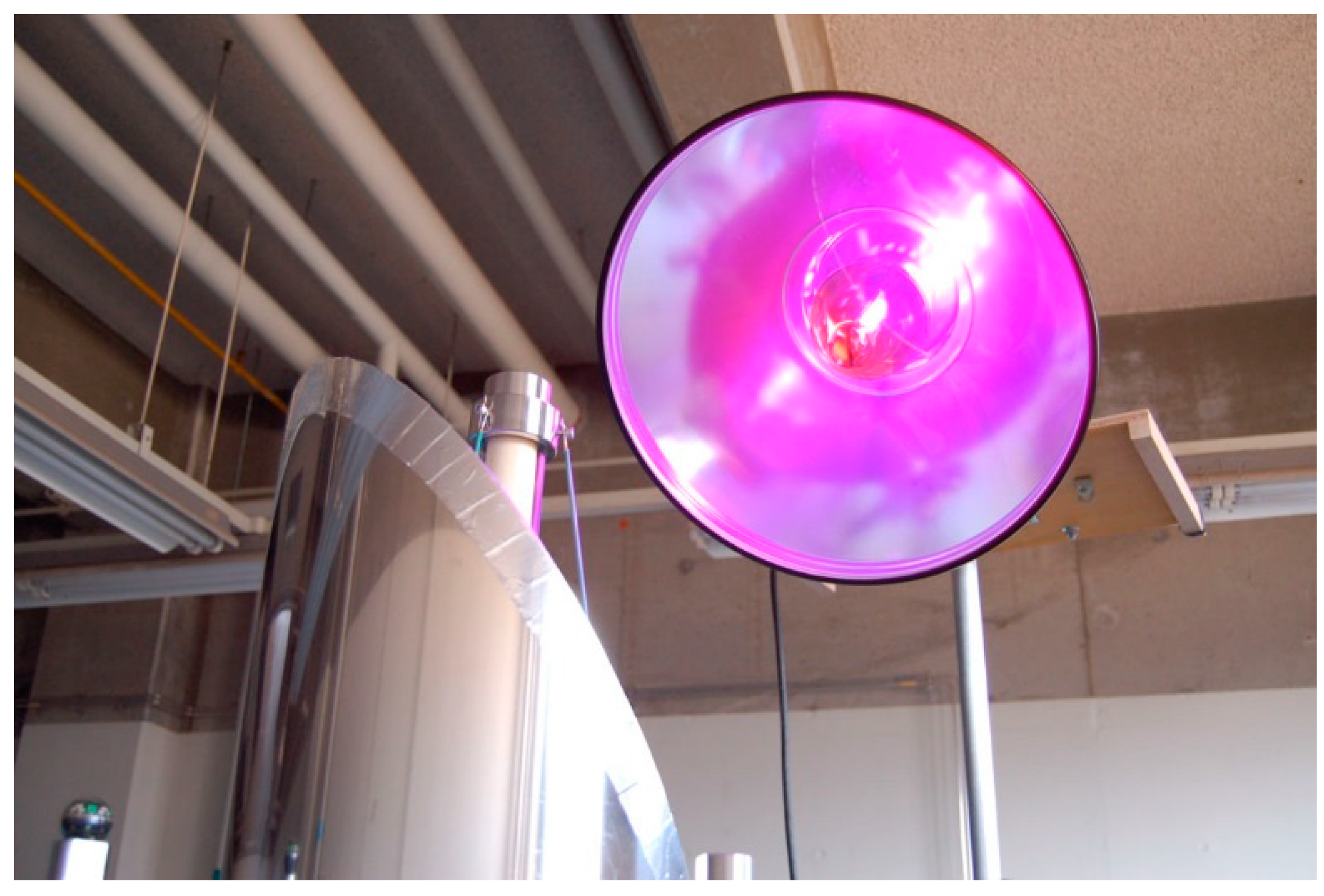 Molecules 19 16624 g013