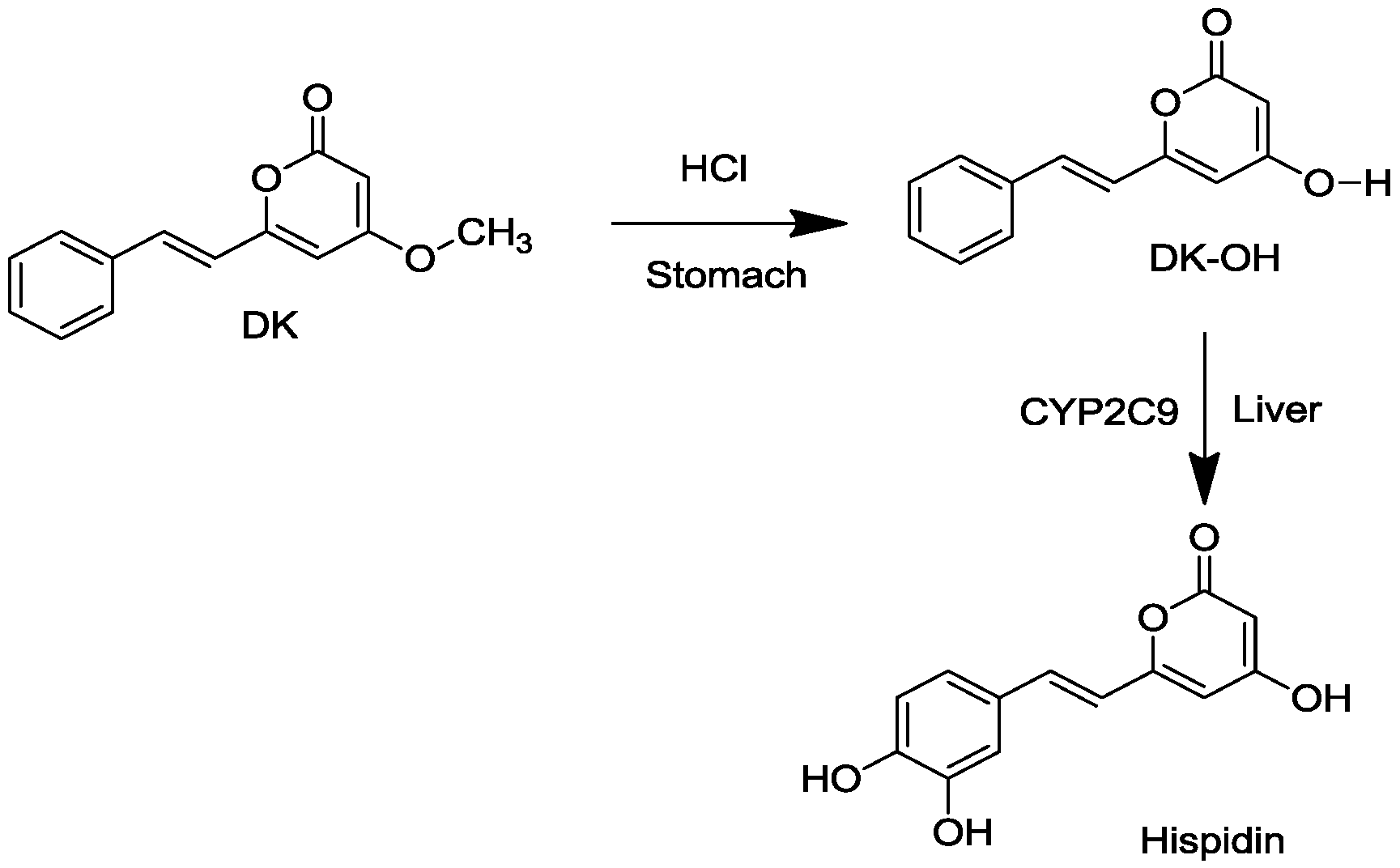 Molecules 19 16656 g001