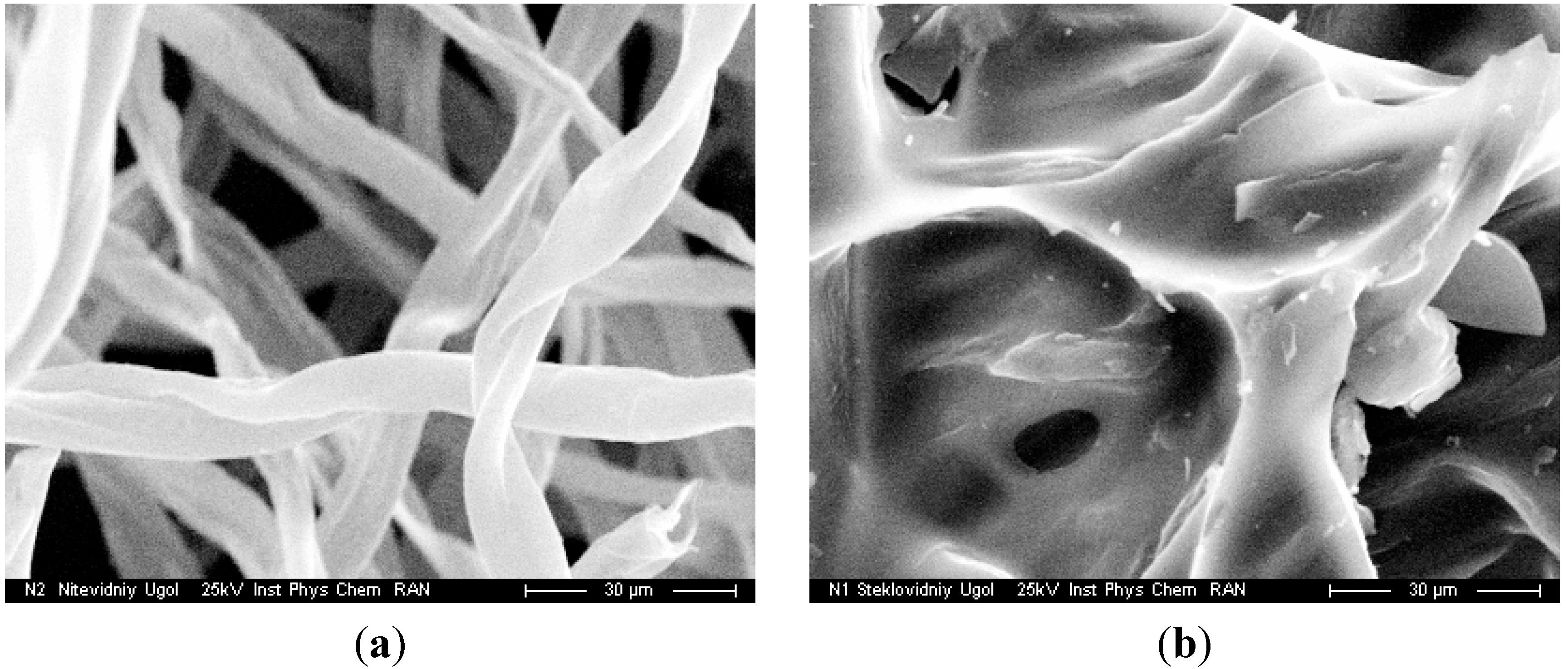 Molecules 19 16877 g014