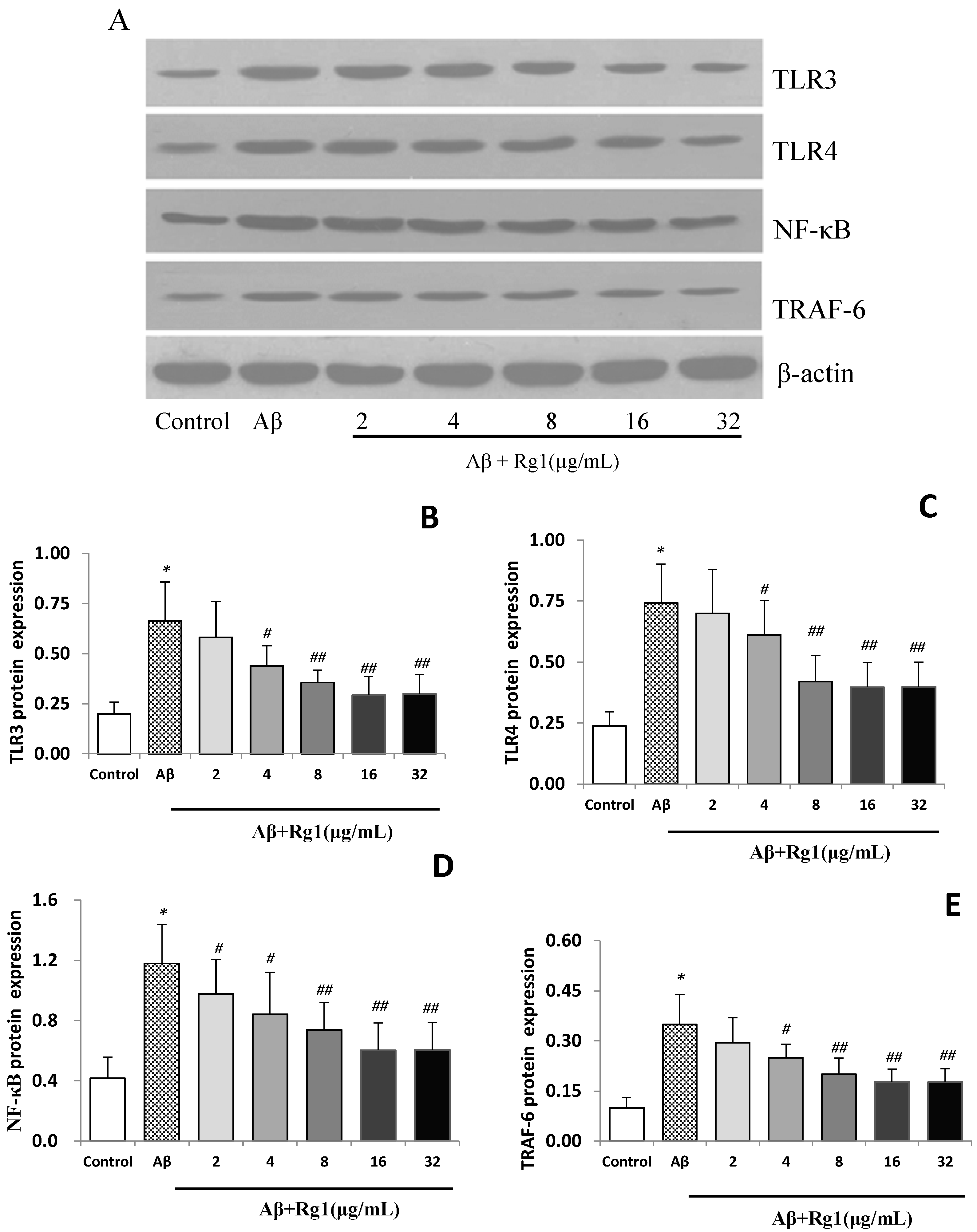 Molecules 19 16925 g002