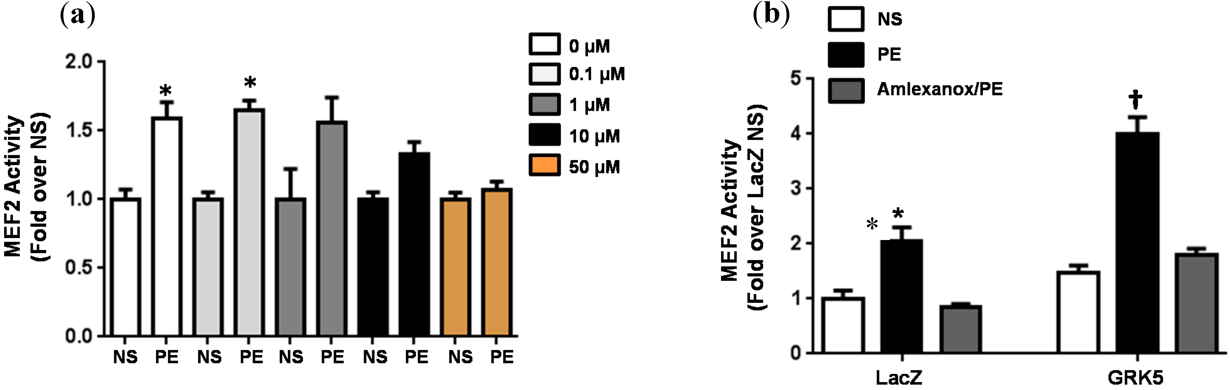Molecules 19 16937 g003 550