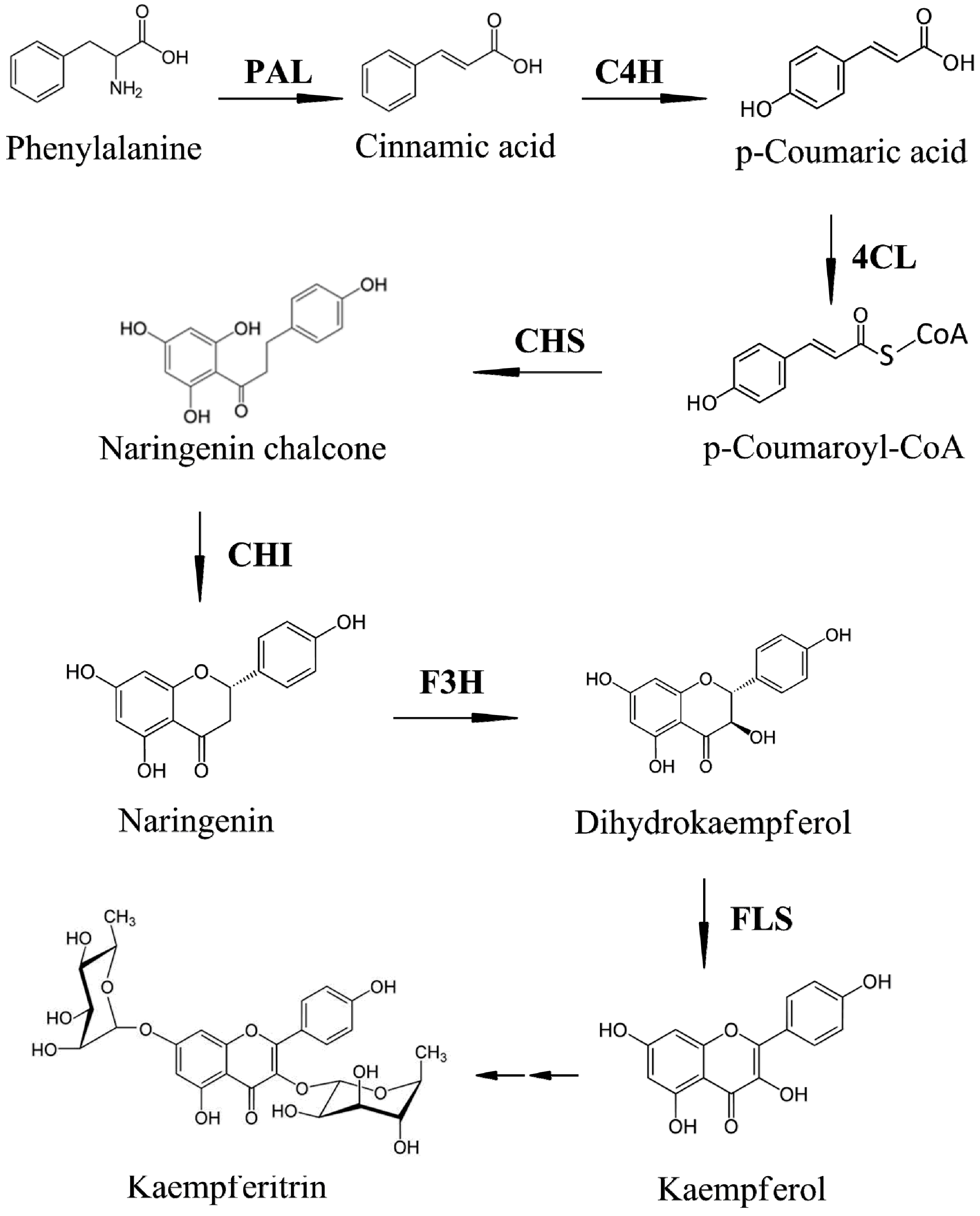 Molecules 19 16987 g003 550