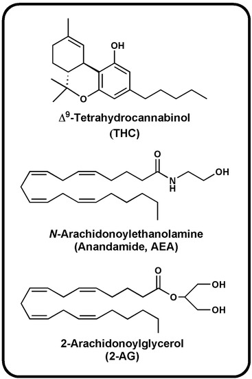 Cannabinoid Science 101: What is Anandamide (AEA)? - Sensi Seeds