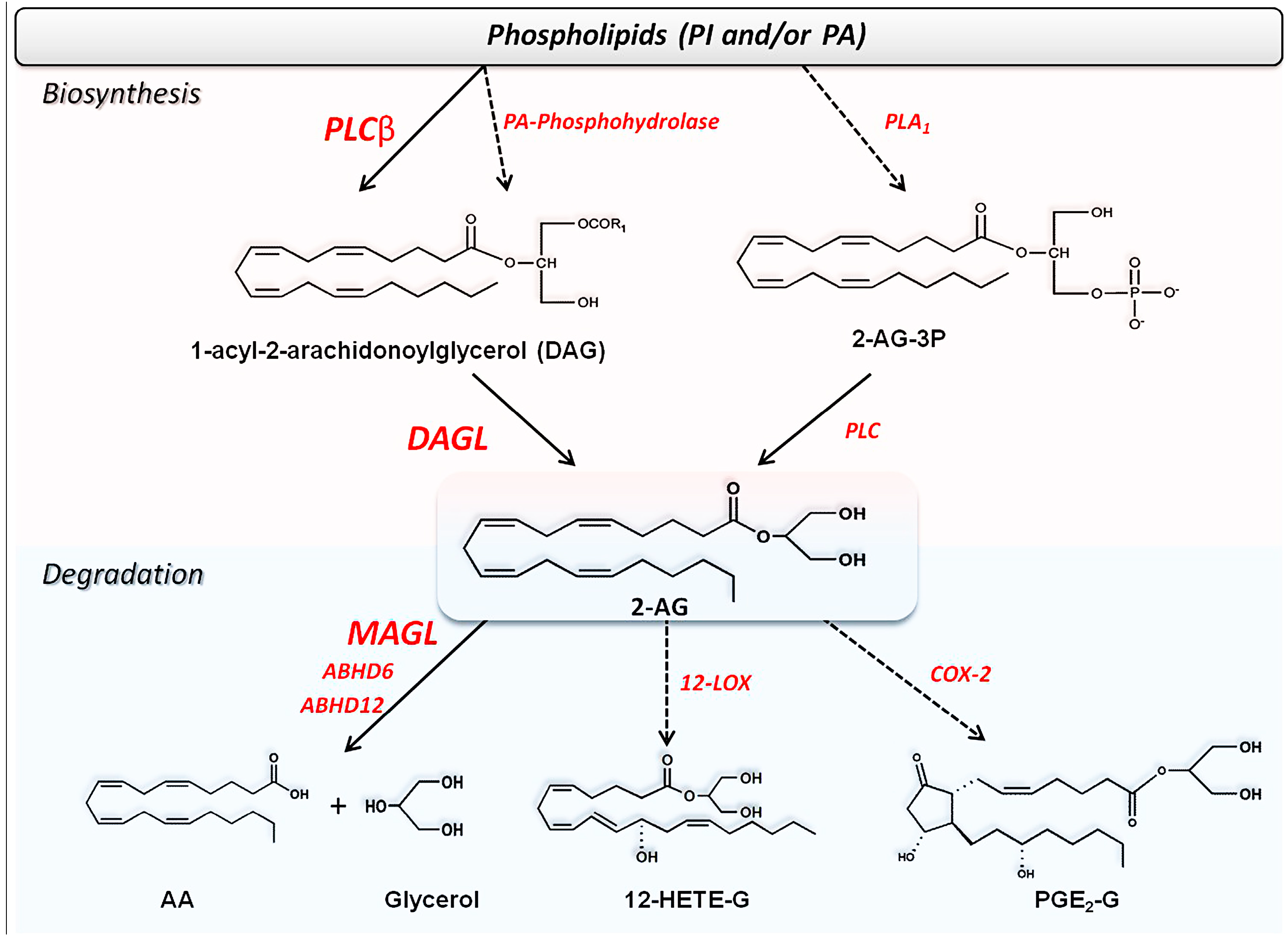 Molecules 19 17078 g005