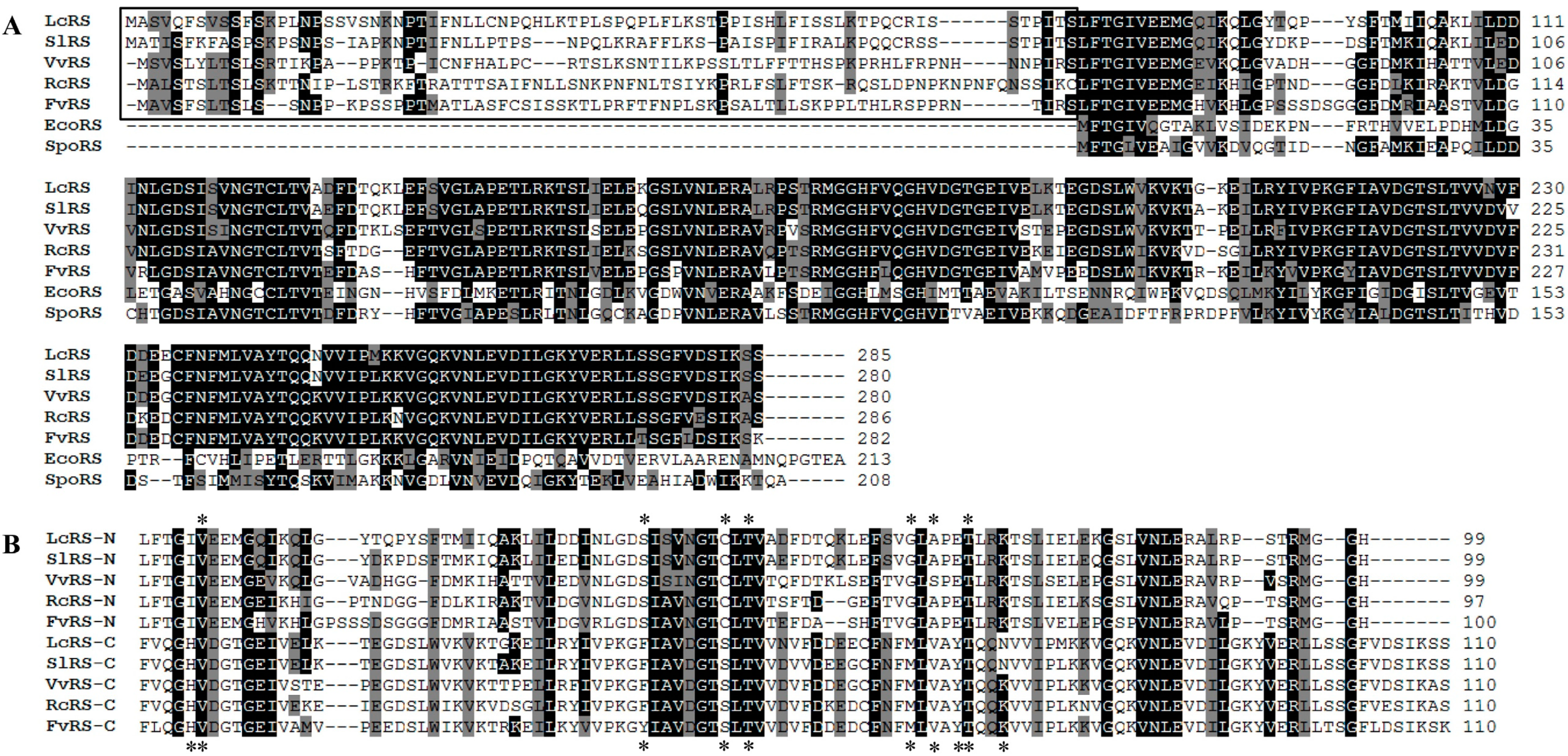 Molecules 19 17141 g003 550