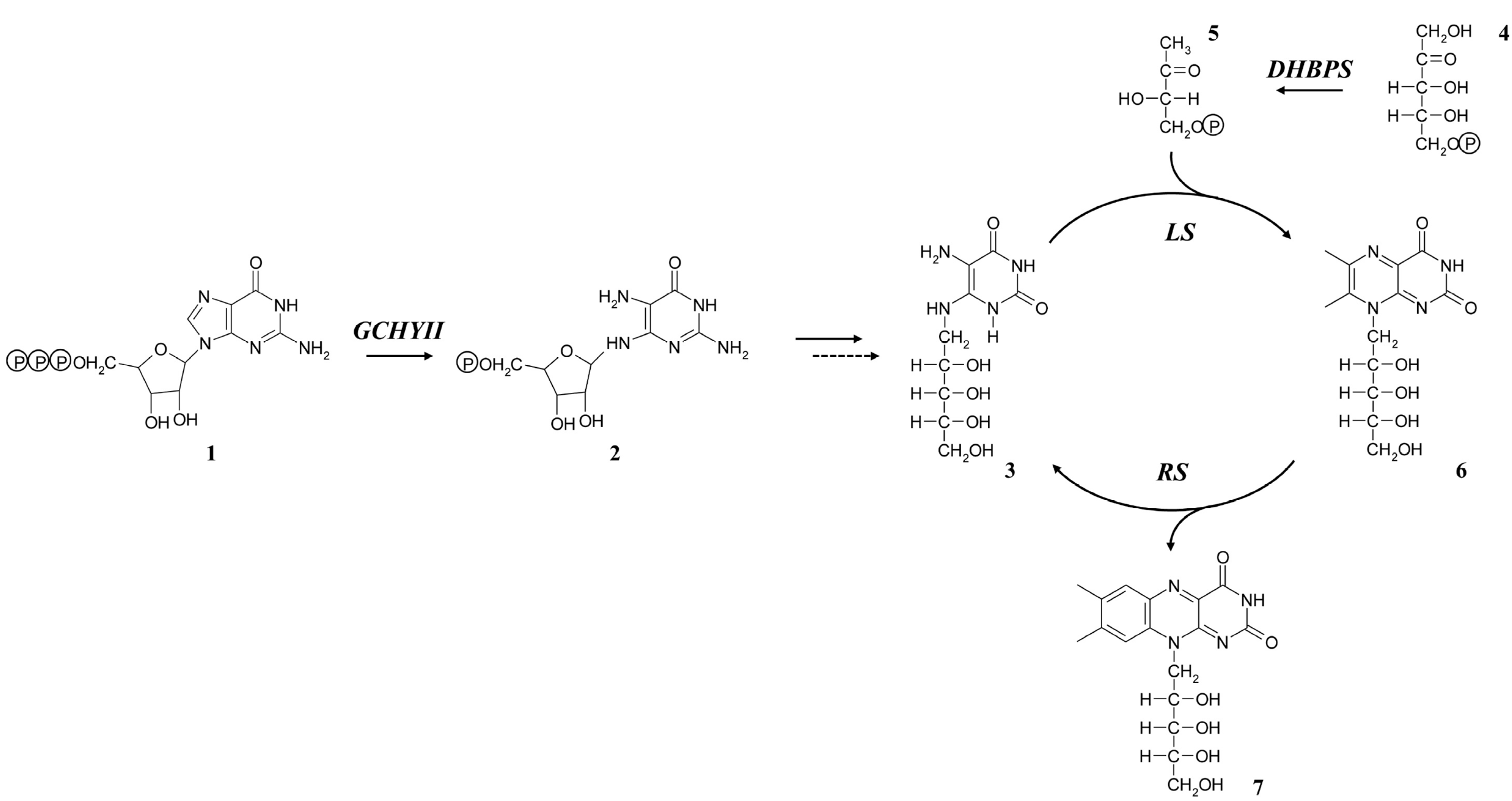 Molecules 19 17141 g006 550