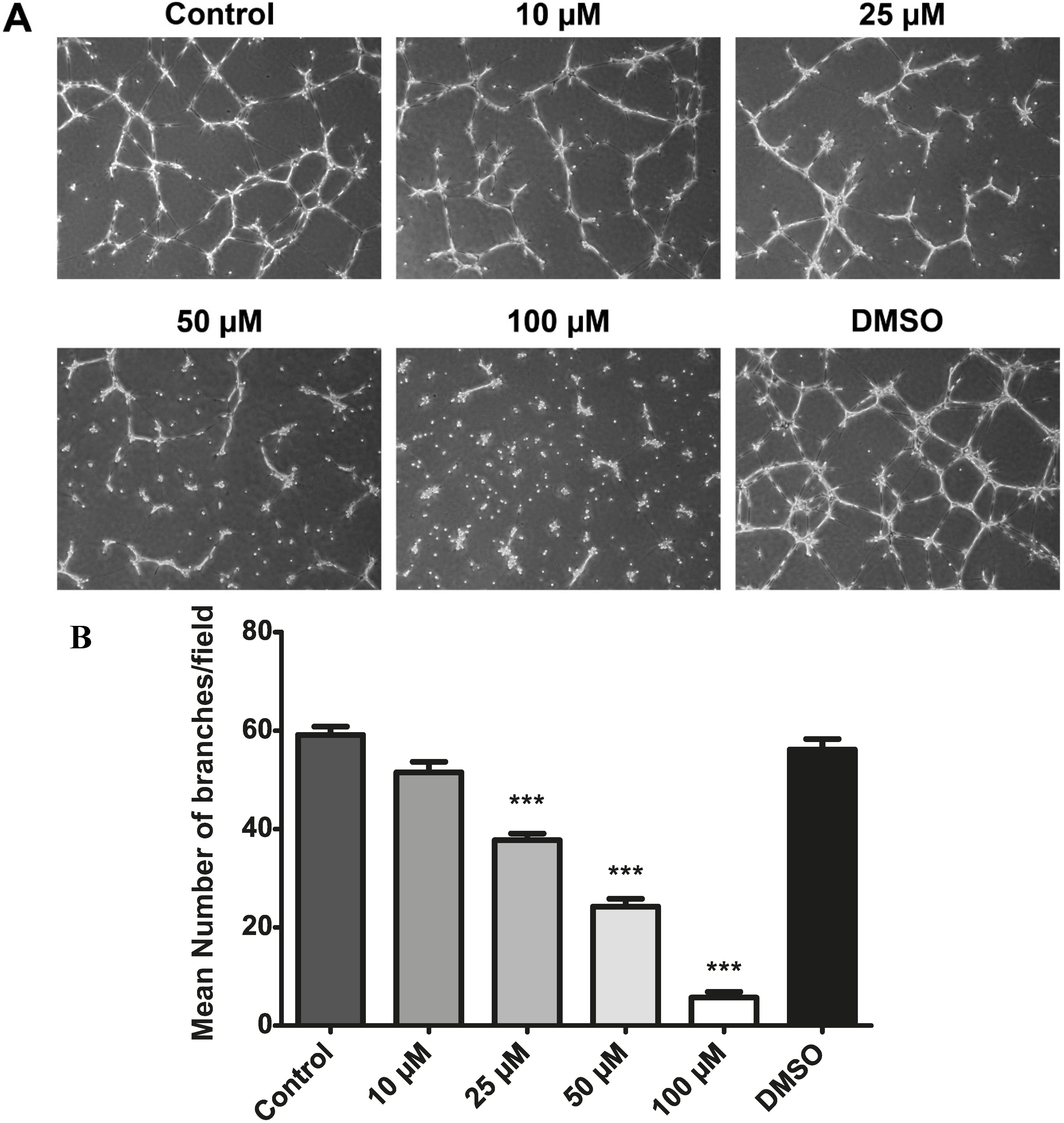 Molecules 19 17578 g010