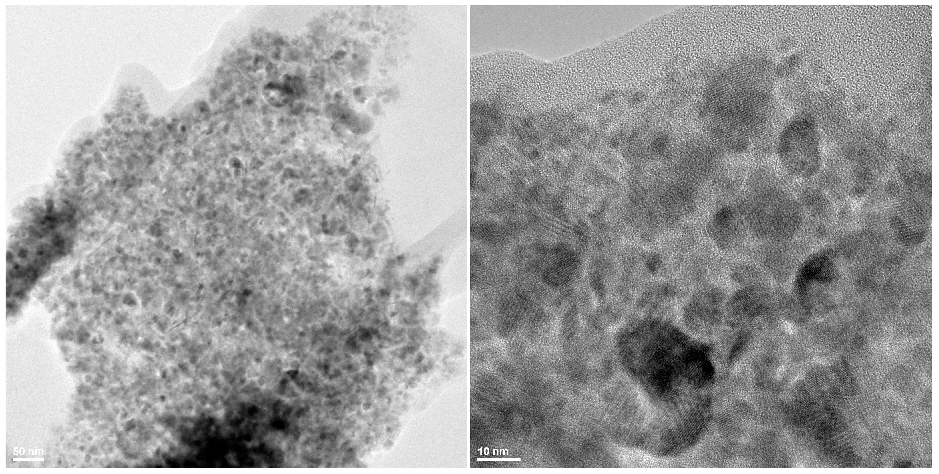 Molecules 19 17943 g001