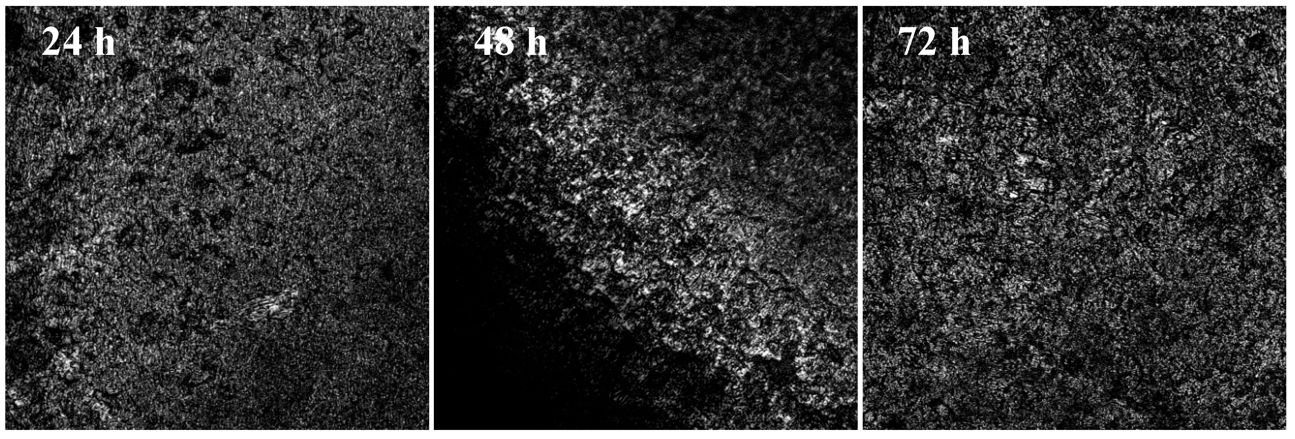 Molecules 19 17943 g006