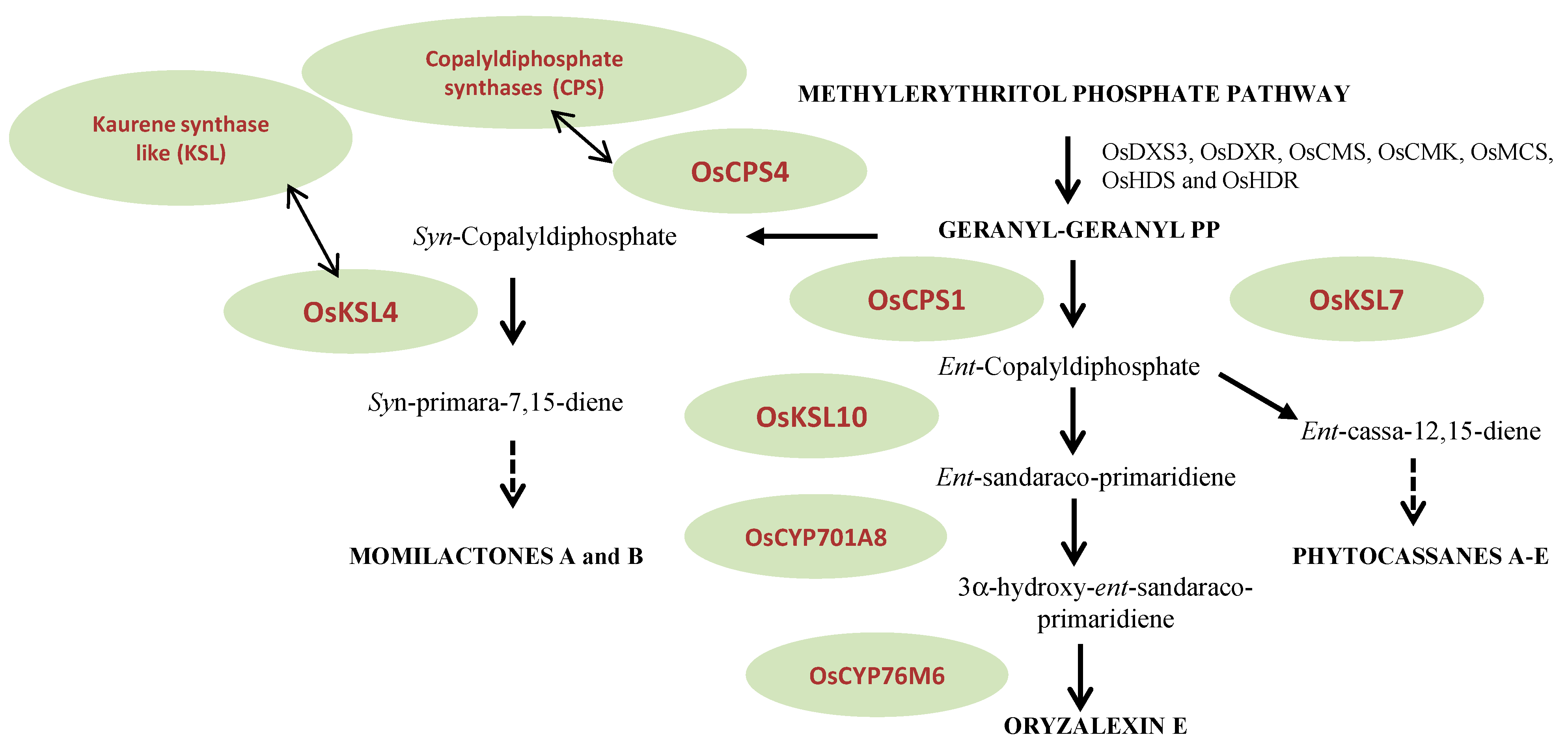 Molecules 19 18033 g002