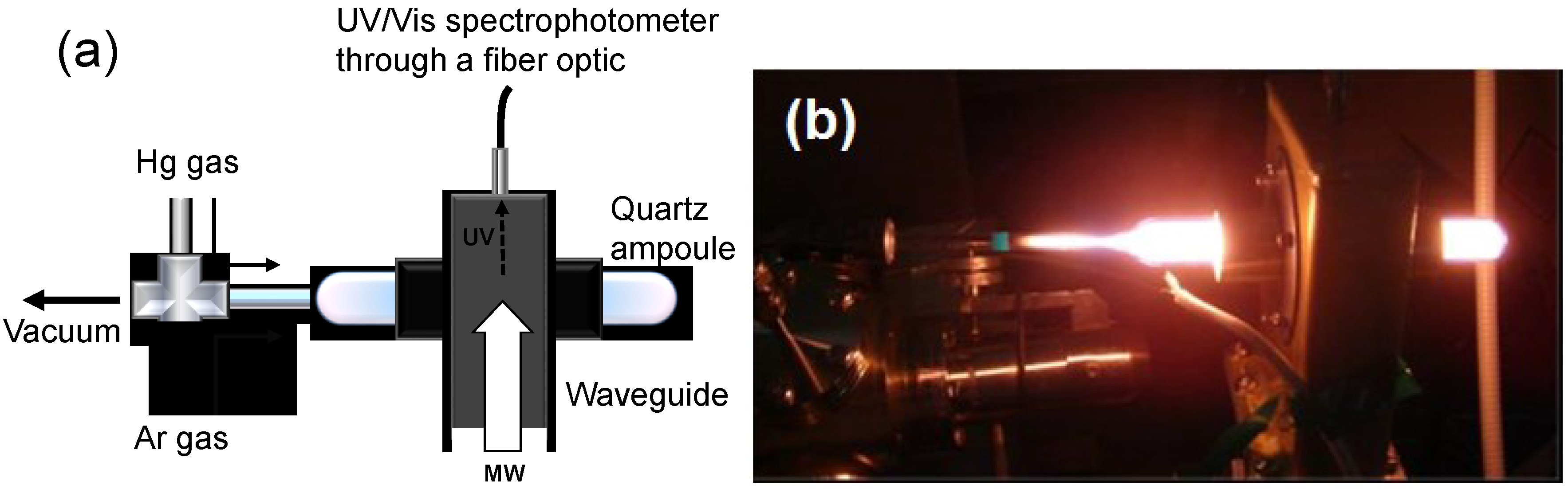 Molecules 19 18102 g008 550
