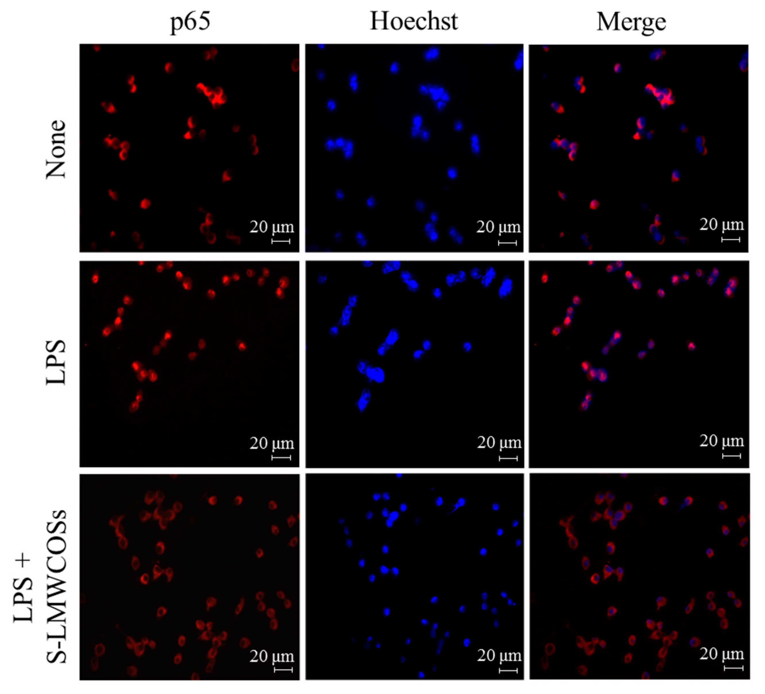 Molecules 19 18232 g007 550