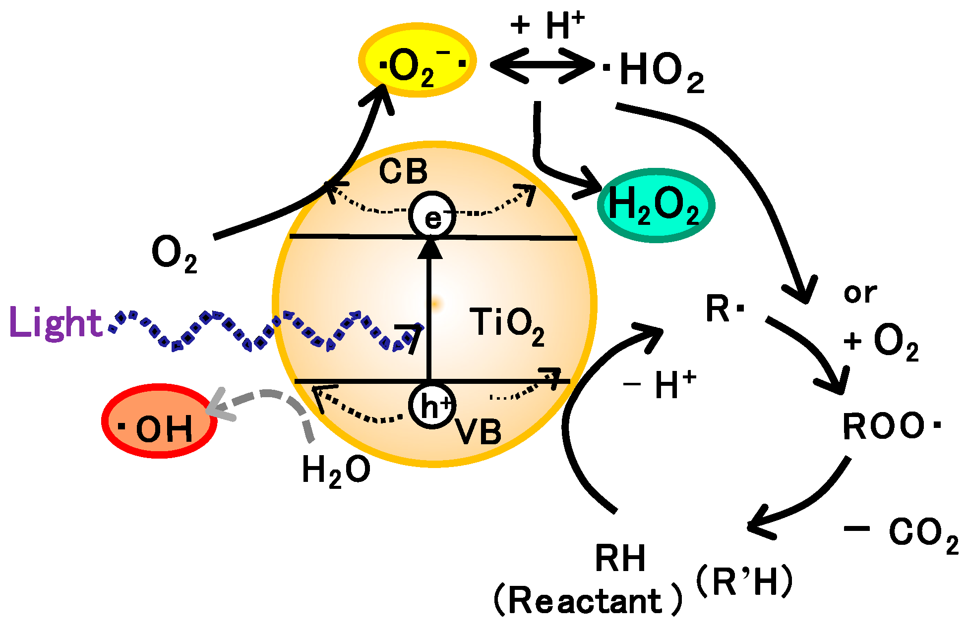 Molecules 19 18248 g002