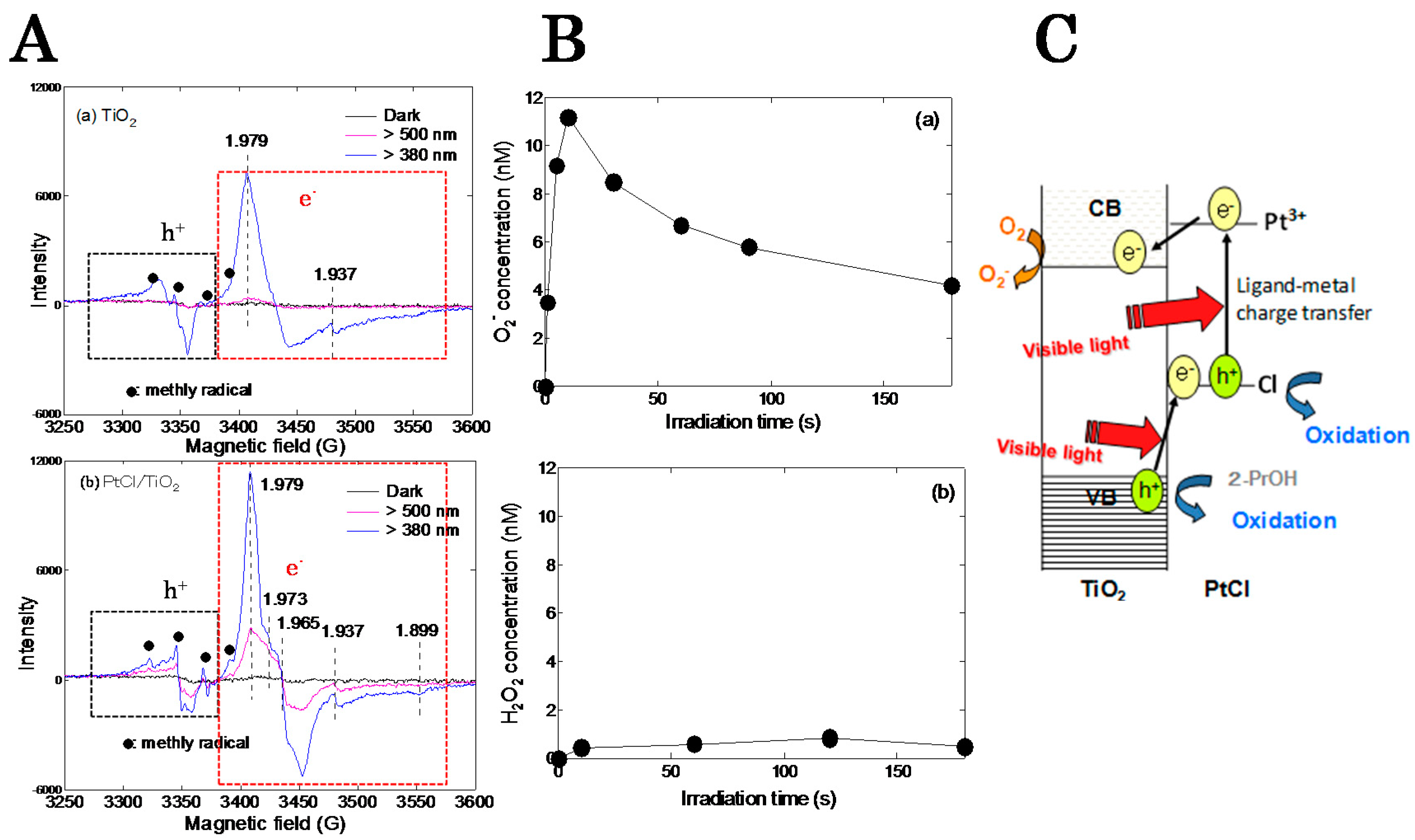 Molecules 19 18248 g007