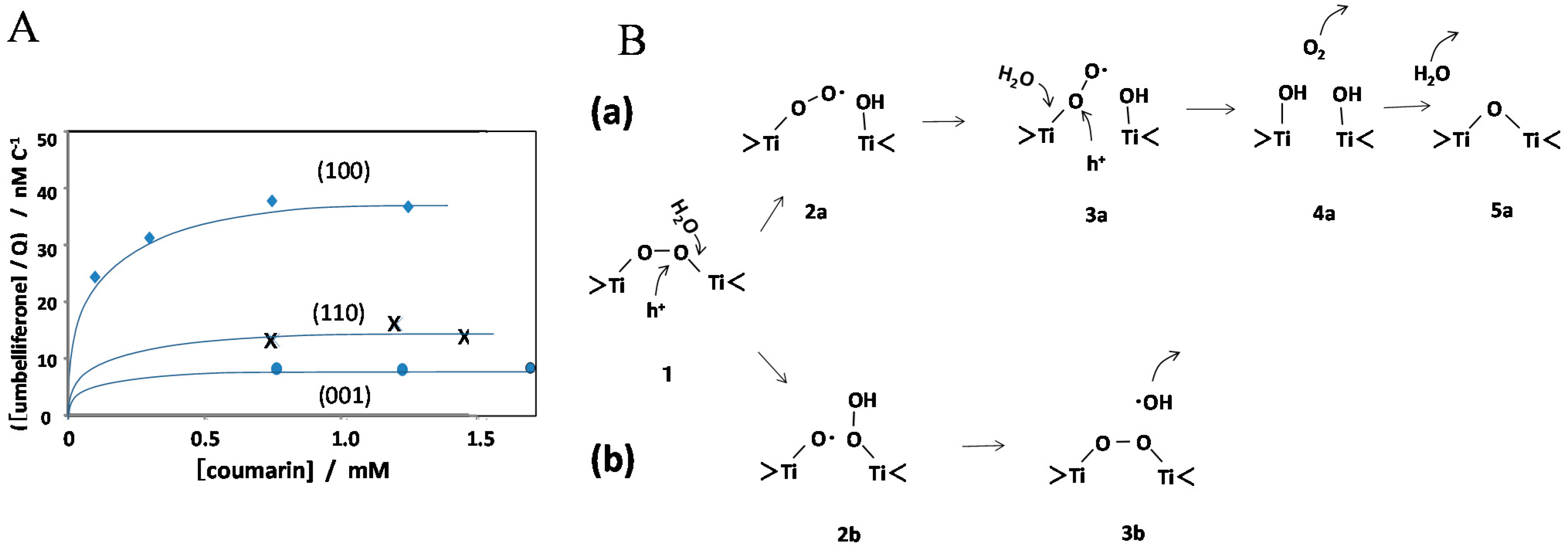 Molecules 19 18248 g010