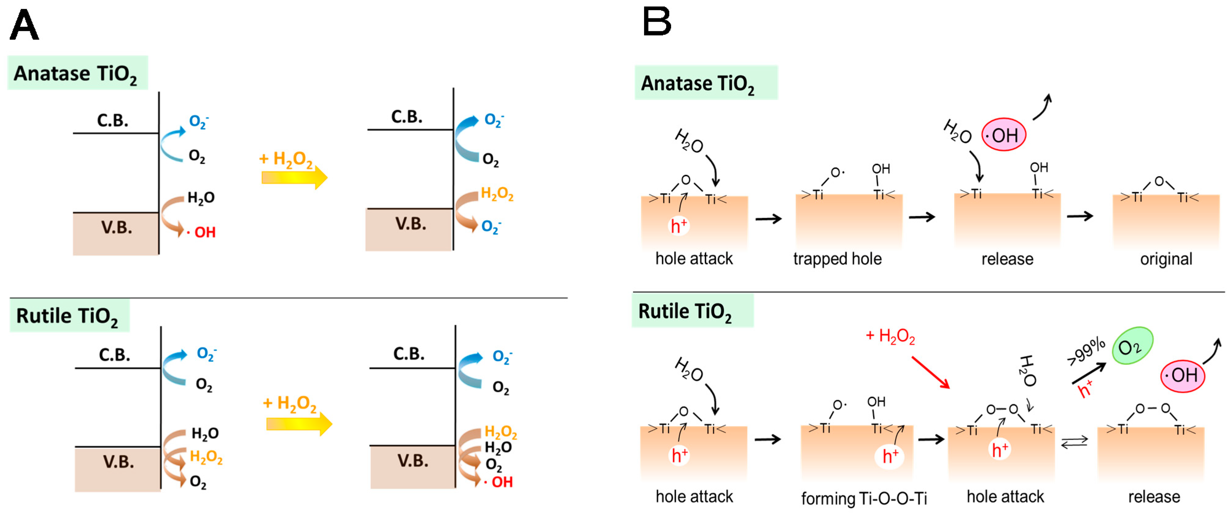 Molecules 19 18248 g012