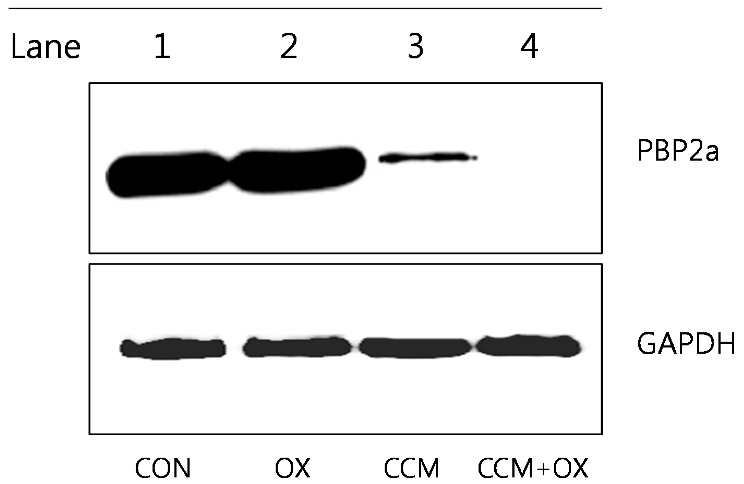 Molecules 19 18283 g005
